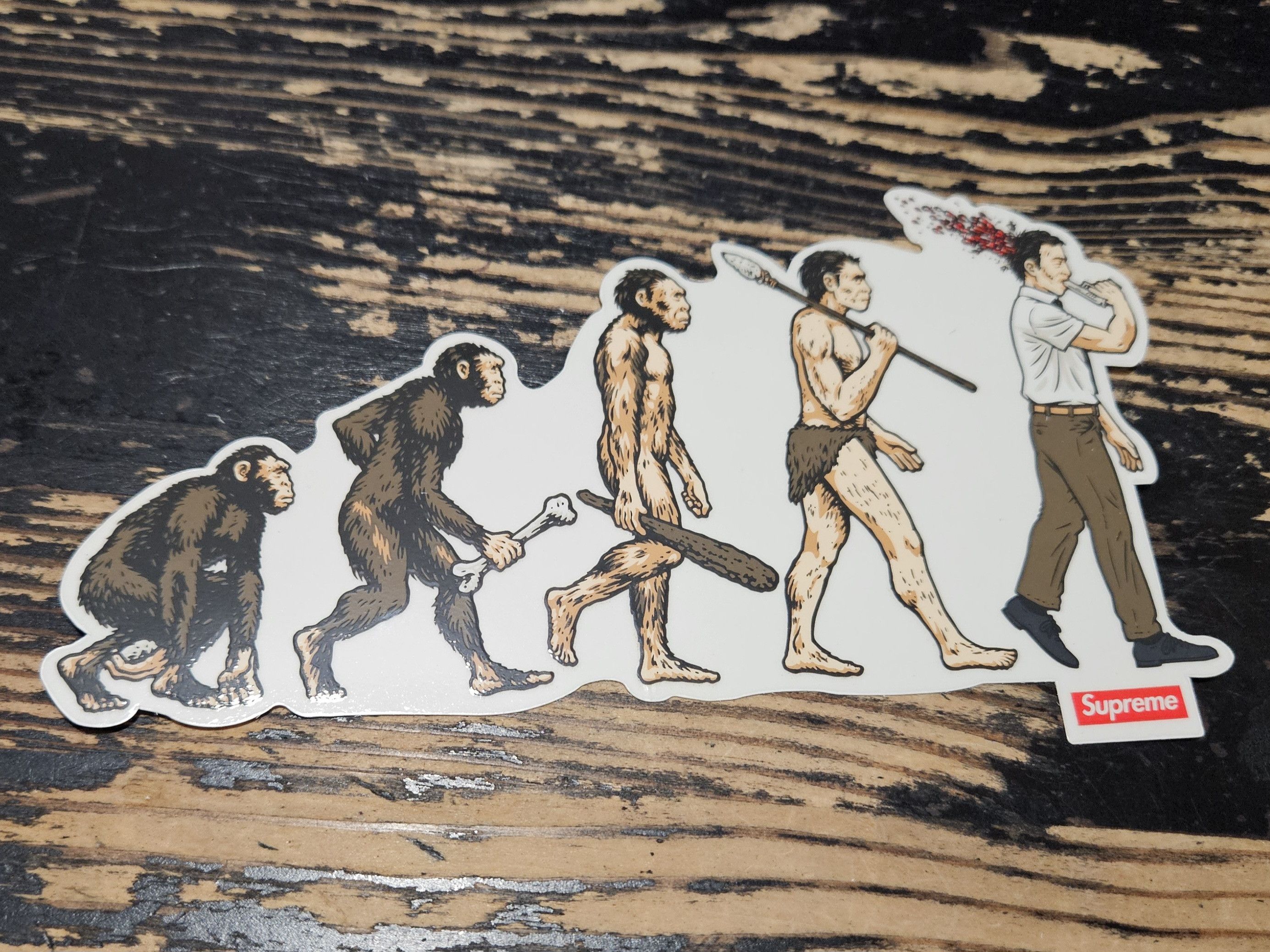 Supreme Supreme Evolution Sticker SS26 + FREE SURPRISE Size ONE SIZE - 1 Thumbnail