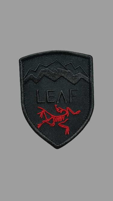 Arcteryx Patch | Grailed