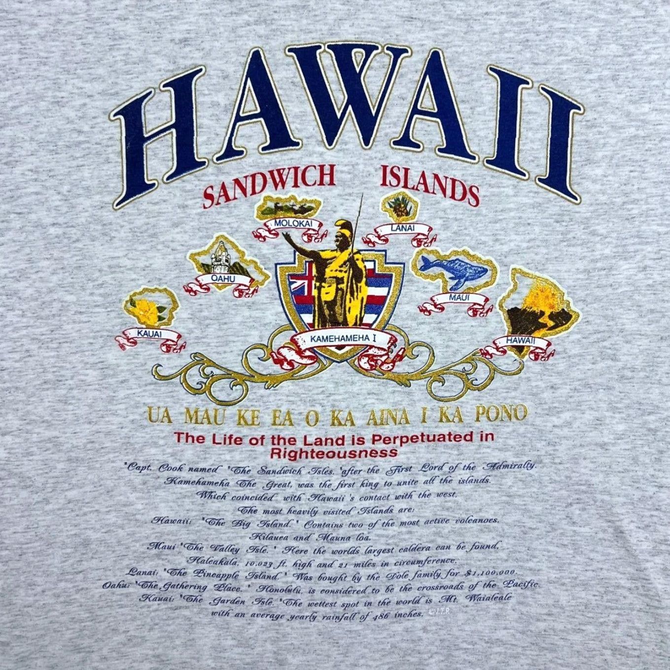 Delta VINTAGE Delta Hawaii "Sandwich Islands" Souvenir Grey Single Stitch T-Shirt XL Men Size US XL / EU 56 / 4 - 2 Thumbnail