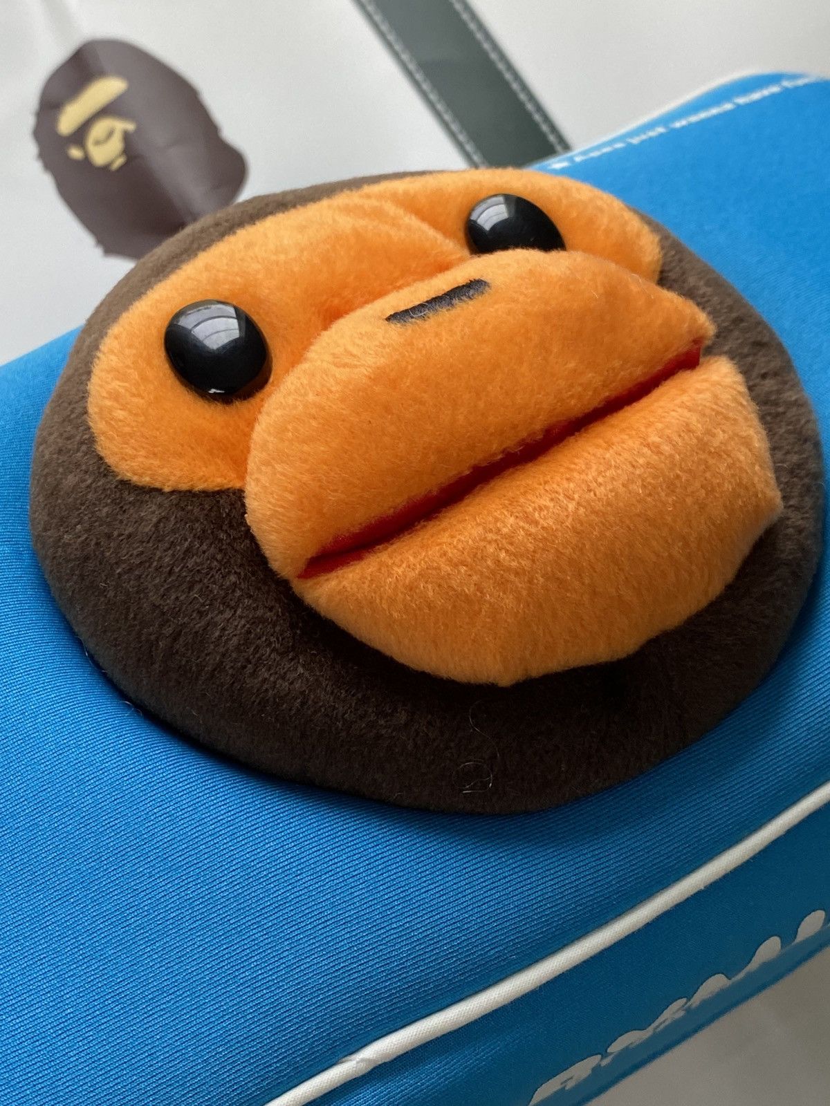 Fendi CAP rain Cover