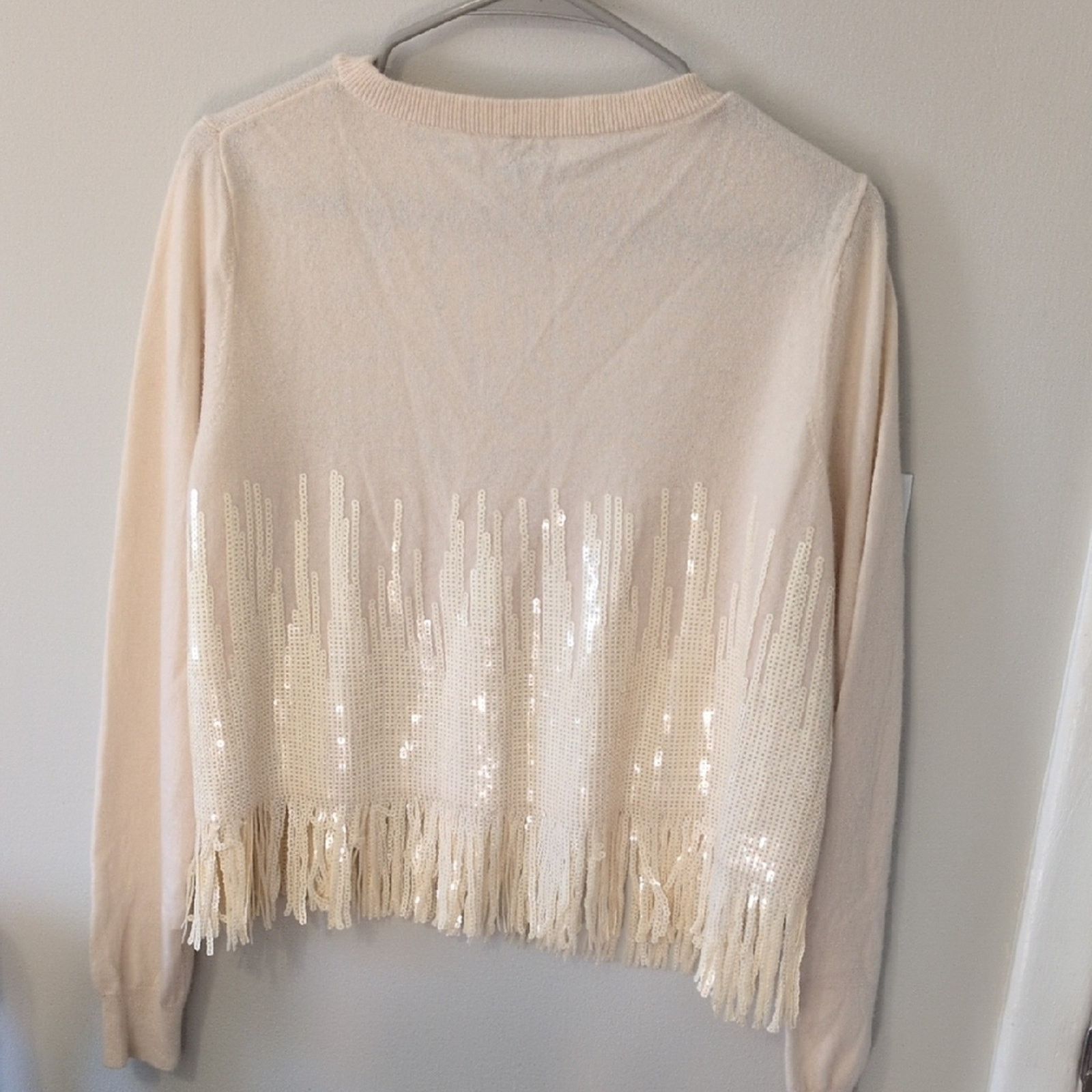 Pinko Pinko Cream Wool Cashmere Sweater Fringe Sequins Medium Size M / US 6-8 / IT 42-44 - 5 Thumbnail