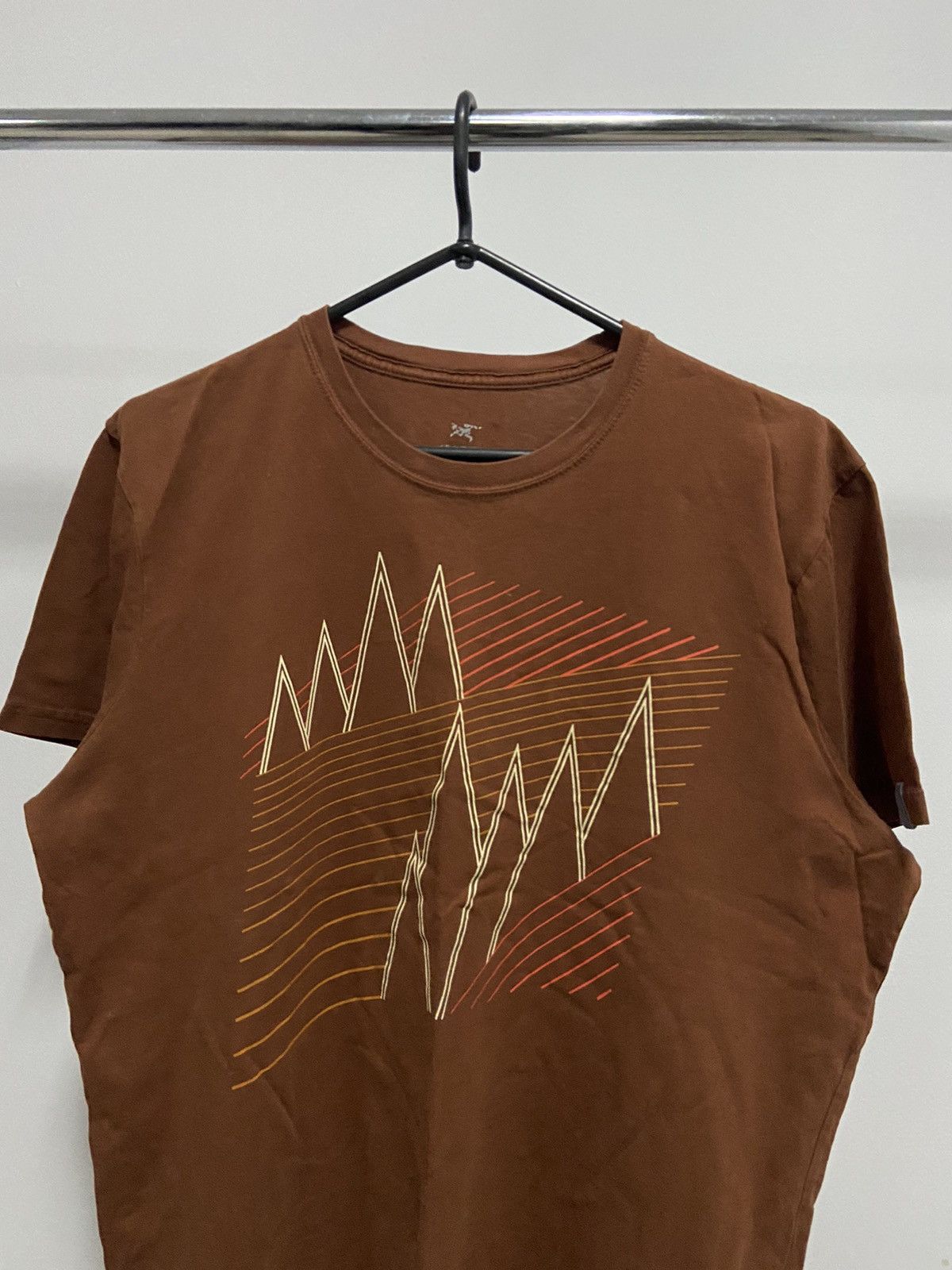 Arc'teryx × Vintage Arcteryx big logo vintage t shirt bird gorpcore mountain Size US L / EU 52-54 / 3 - 4 Thumbnail