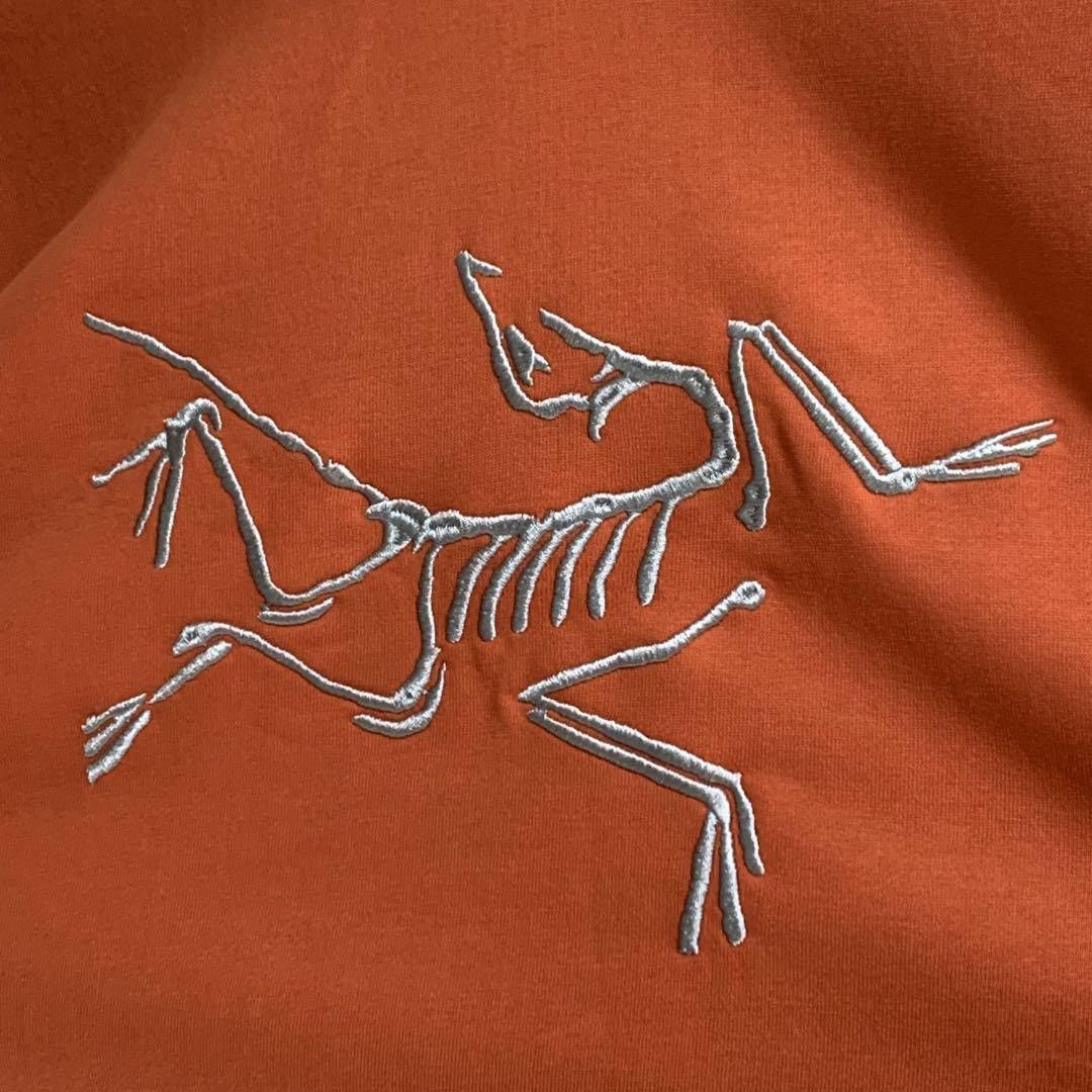 Arc'teryx × Palace Arcteryx x Palace Hoodie Size US M / EU 48-50 / 2 - 15 Thumbnail