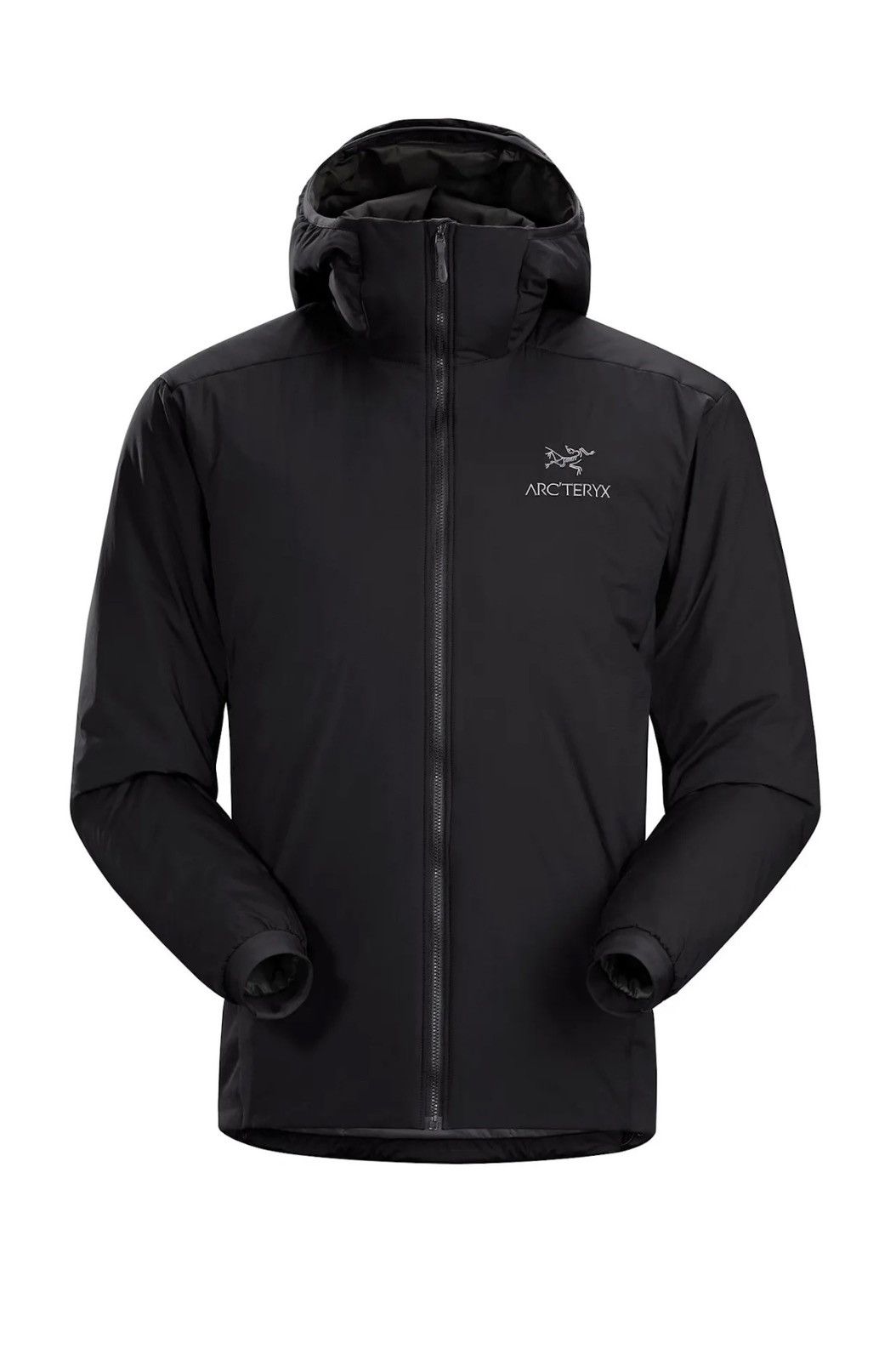 Arc'teryx Arcteryx Atom Hoodie Size US L / EU 52-54 / 3 - 1 Thumbnail