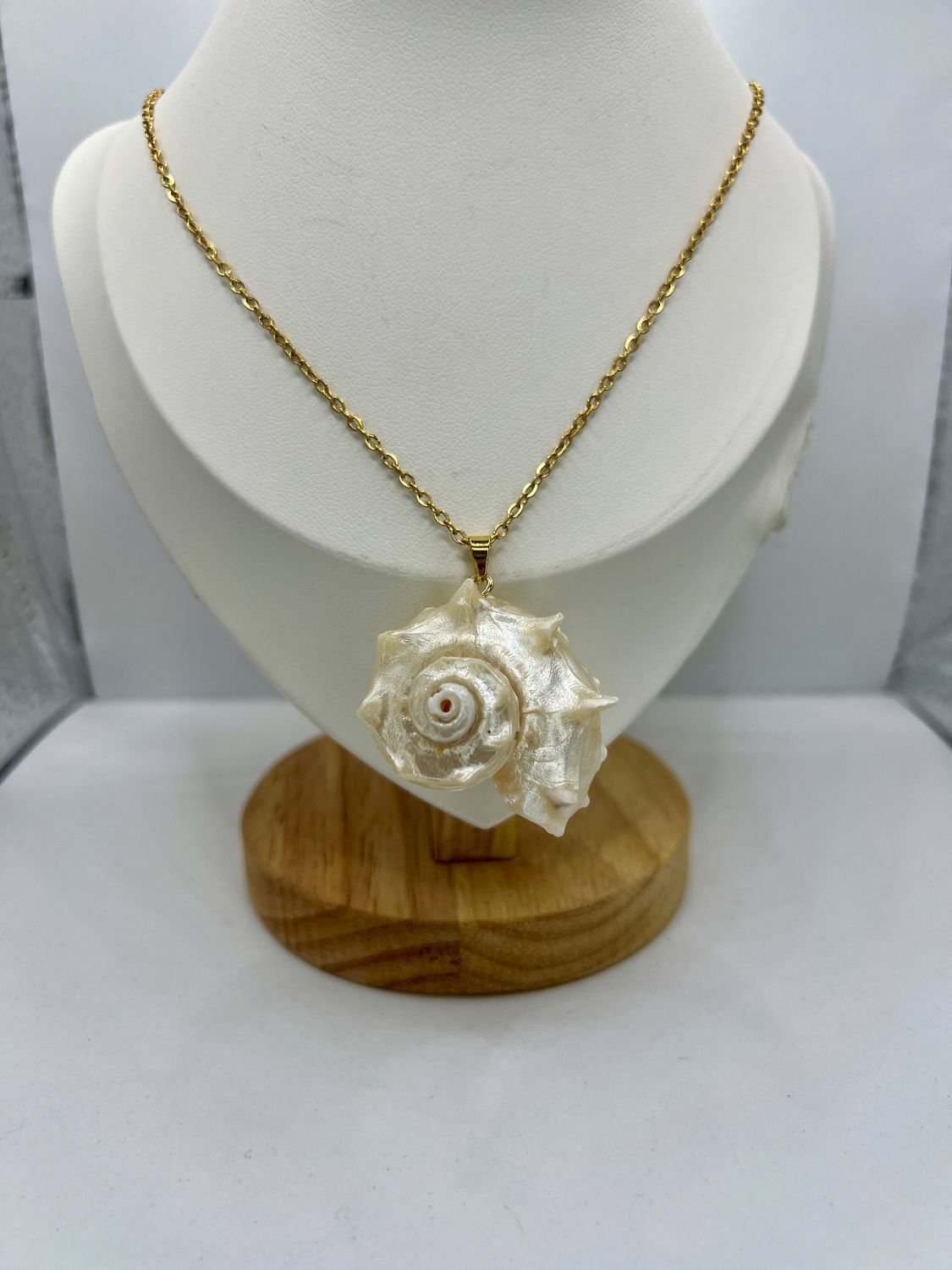 Jewelry Seashell Gold Chain Necklace Size ONE SIZE - 1 Thumbnail