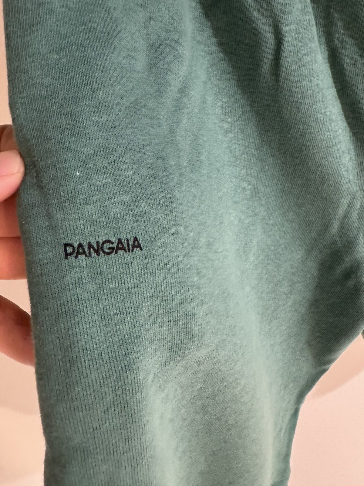 Pangaia Pangaia shorts Size US 32 / EU 48 - 5 Thumbnail