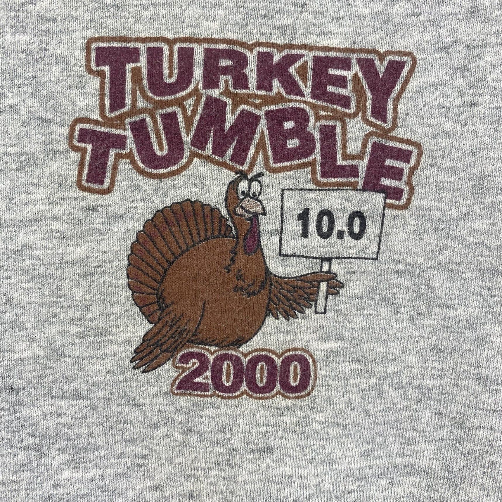 Fruit Of The Loom VINTAGE Fruit of the Loom T-Shirt Unisex Adults Extra Small Gray 2000s Y2K Gymnasium Turkey Tumble Logo Graphic Print Size US XS / EU 42 / 0 - 4 Thumbnail