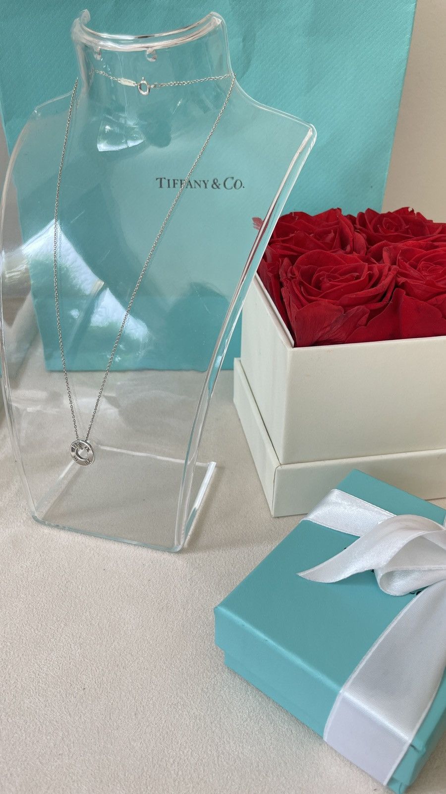Tiffany & Co. Tiffany & Co. Atlas Circle Pendant Silver 16” inch NEW Size ONE SIZE - 6 Thumbnail