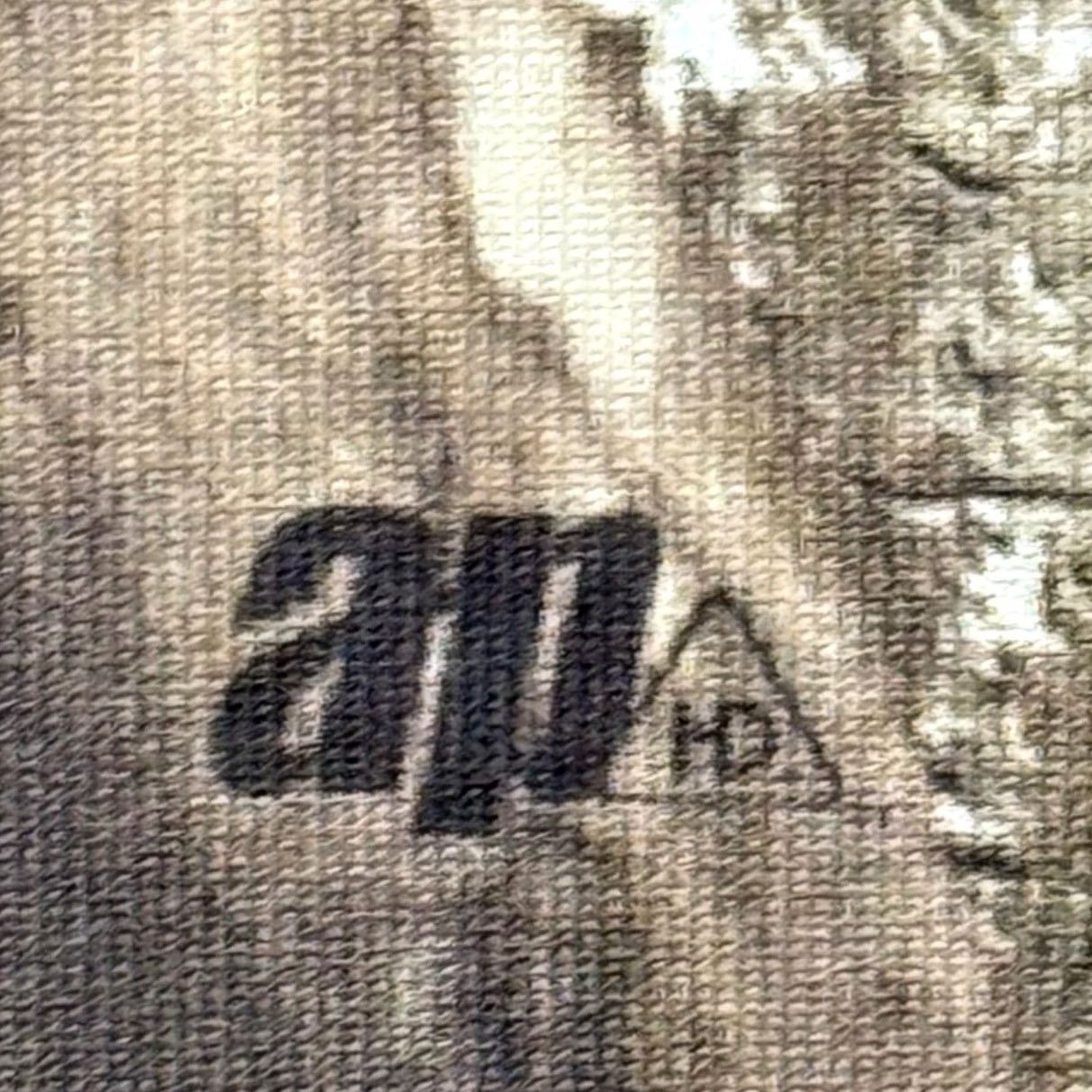 Under Armour Under Armour Hooded Hoodie Realtree AP Camo Scent Control ColdGear Pullover, Long Sleeve, Multicolor, Women, L Size L / US 10 / IT 46 - 5 Thumbnail