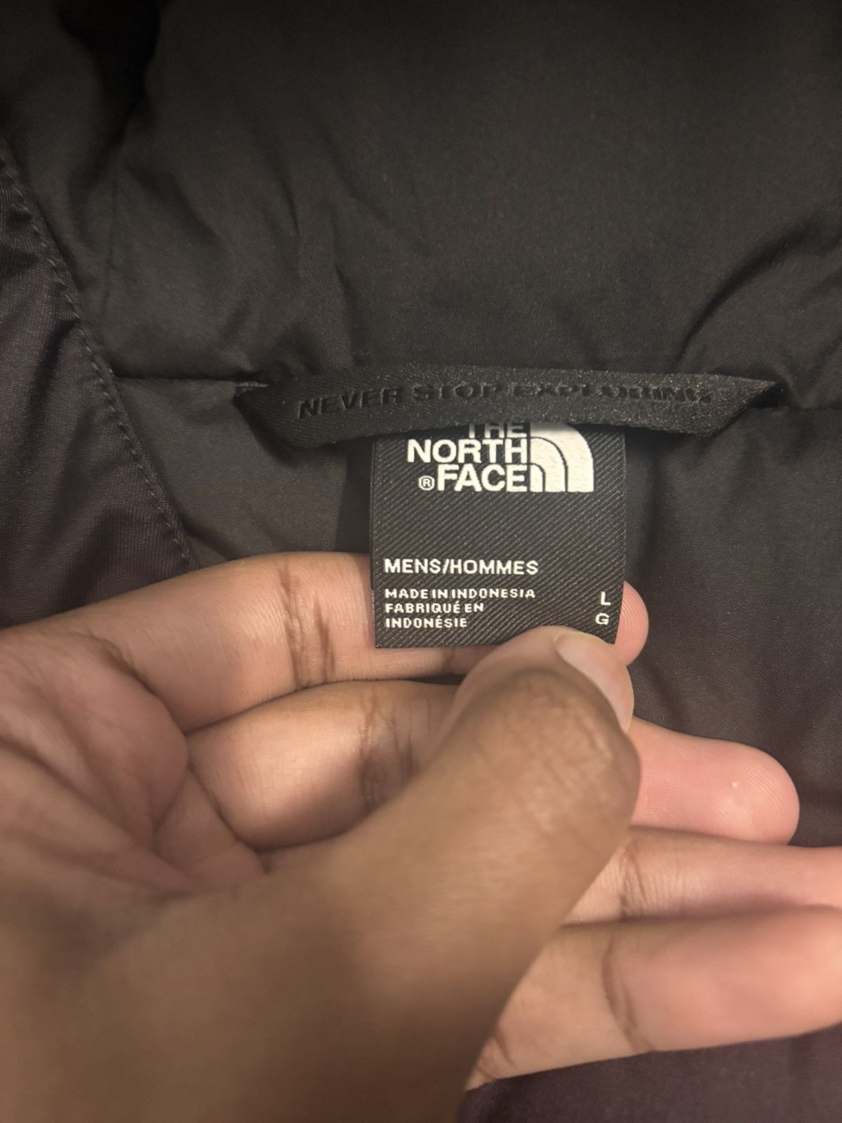 The North Face The North Face Parka Size US L / EU 52-54 / 3 - 3 Thumbnail
