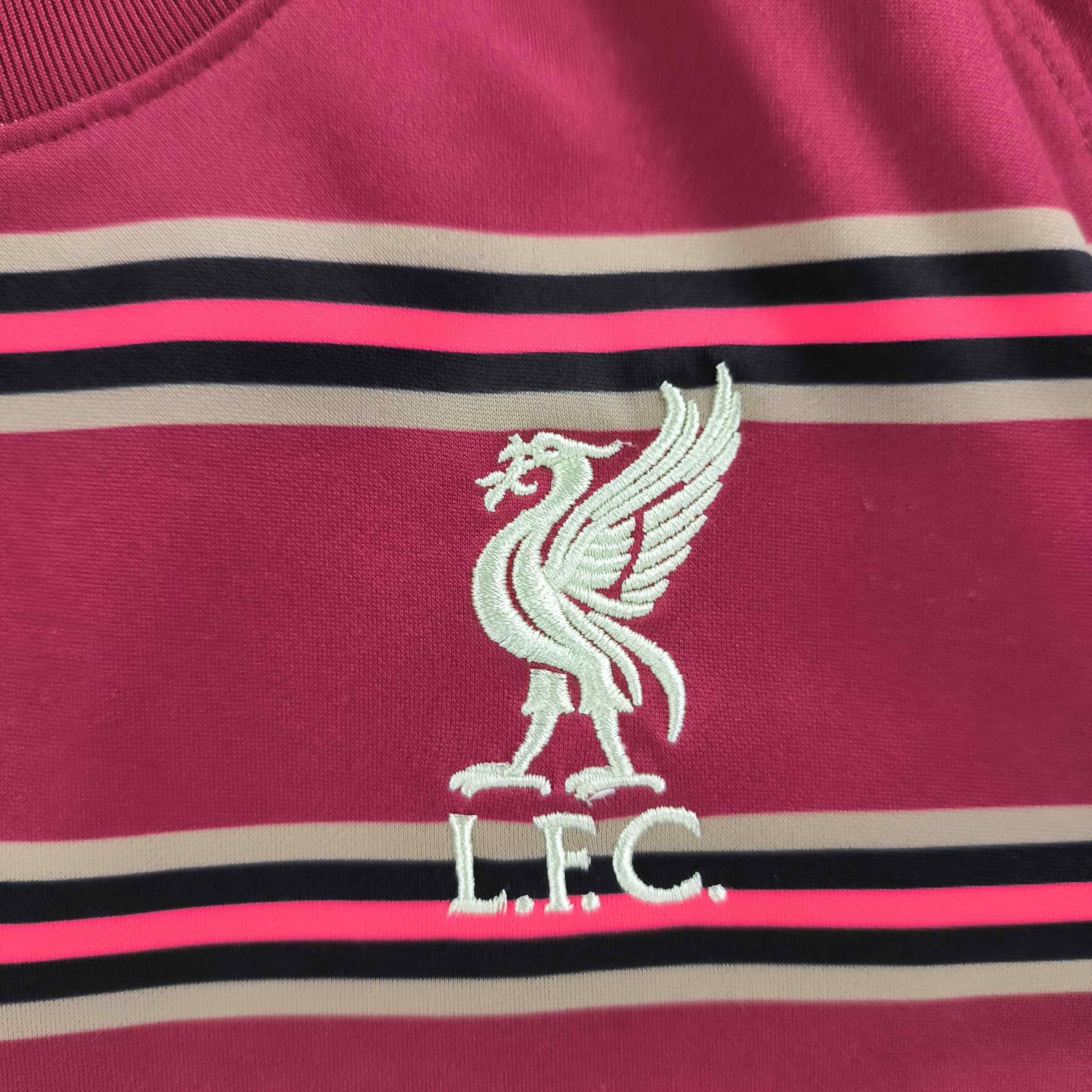 Nike Liverpool 2021-22 Nike pre-match training football jersey S Size US S / EU 44-46 / 1 - 4 Thumbnail