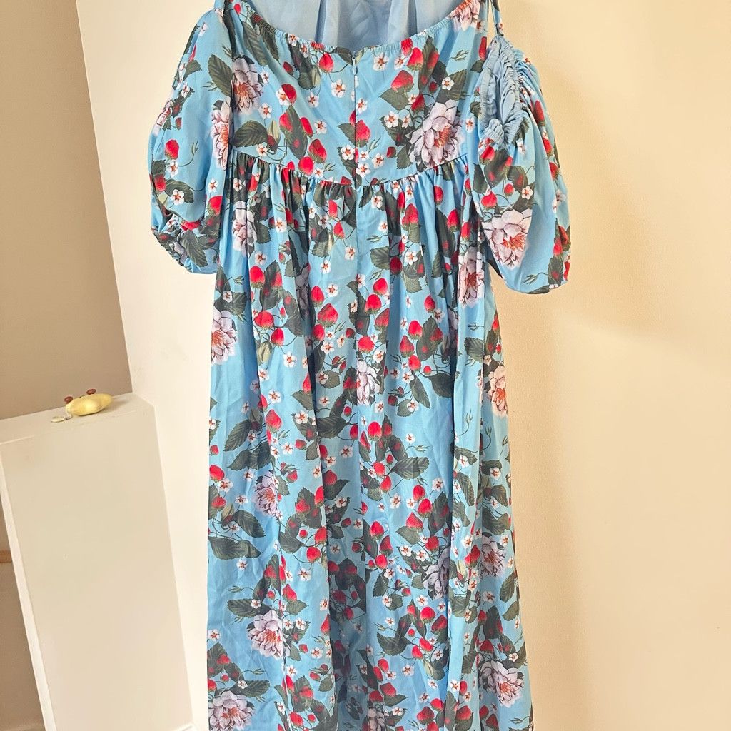 Zara Romantic Blue Strawberries and Floral Puff-Sleeve Maxi Dress Size S / US 4 / IT 40 - 10 Thumbnail