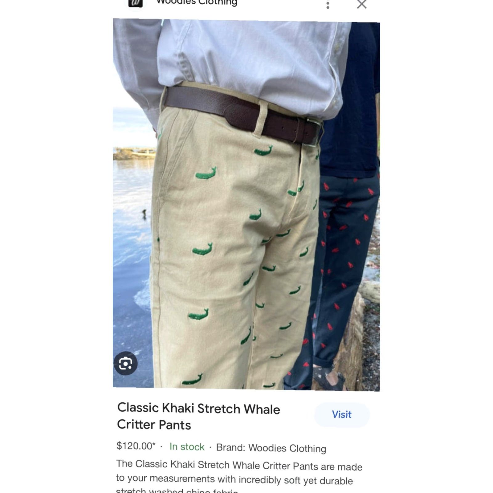 Vintage VINTAGE Woodies Pants Mens Chino Casual Regular Beige Khaki 37 34 Inseam Flat Front Button Zip Lined Cotton Wool? Size US 37 - 2 Thumbnail