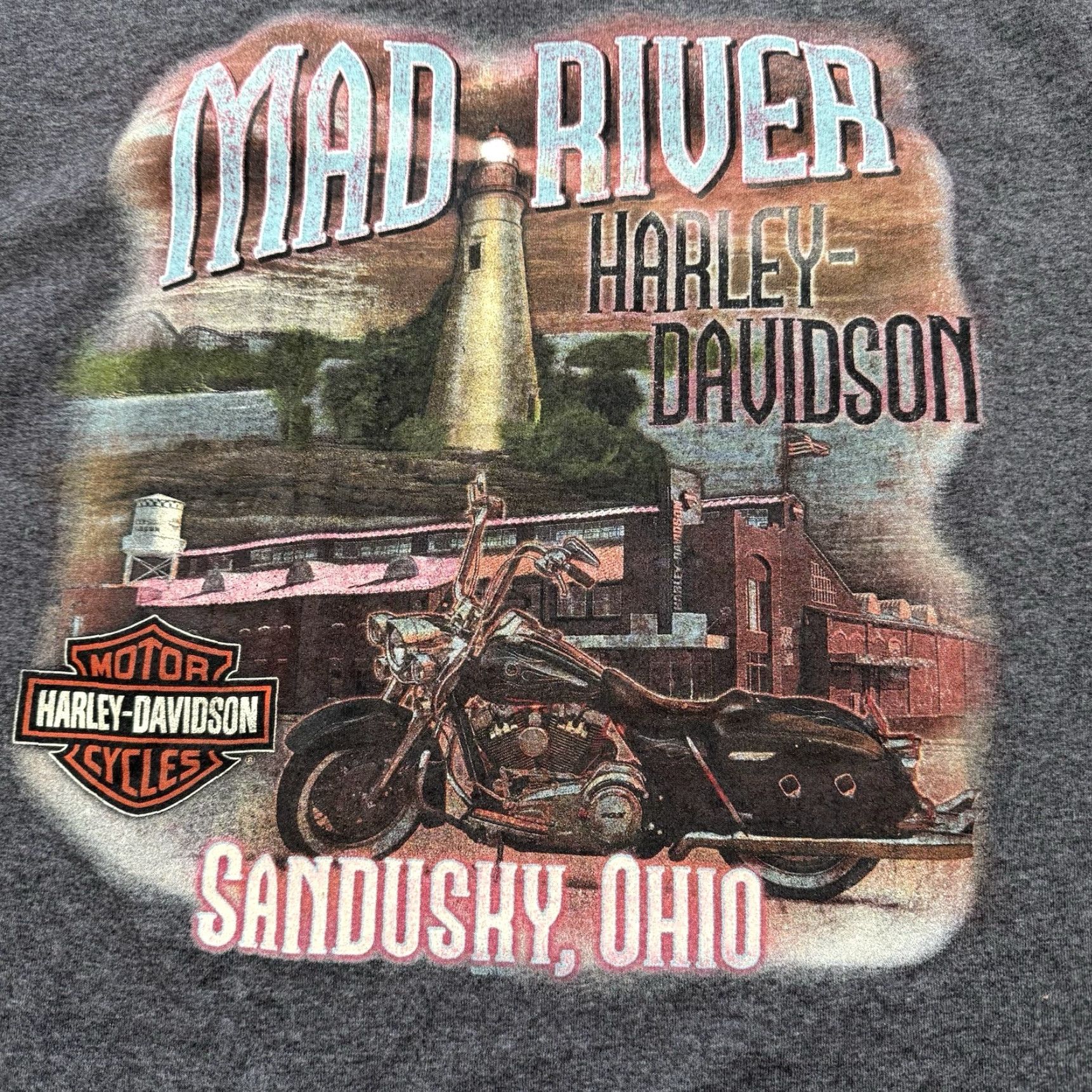 Harley Davidson Harley-Davidson Graphic T Shirt Mens M Gray Motorcycle Biker Tee Mad River Size US M / EU 48-50 / 2 - 6 Thumbnail
