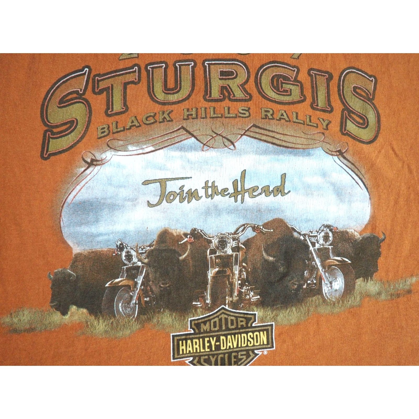 Harley Davidson VINTAGE Harley-Davidson T-Shirt Shirt Mens XL Orange Tee Biker Graphic Print 2007 Sturgis Rally T-Shirt Size US XL / EU 56 / 4 - 6 Thumbnail