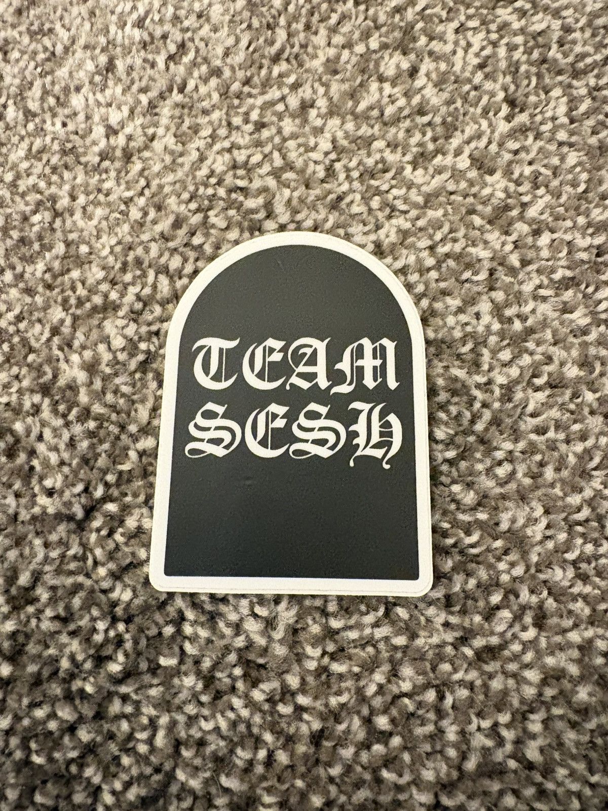 TeamSESH TeamSESH sticker Size ONE SIZE - 1 Preview