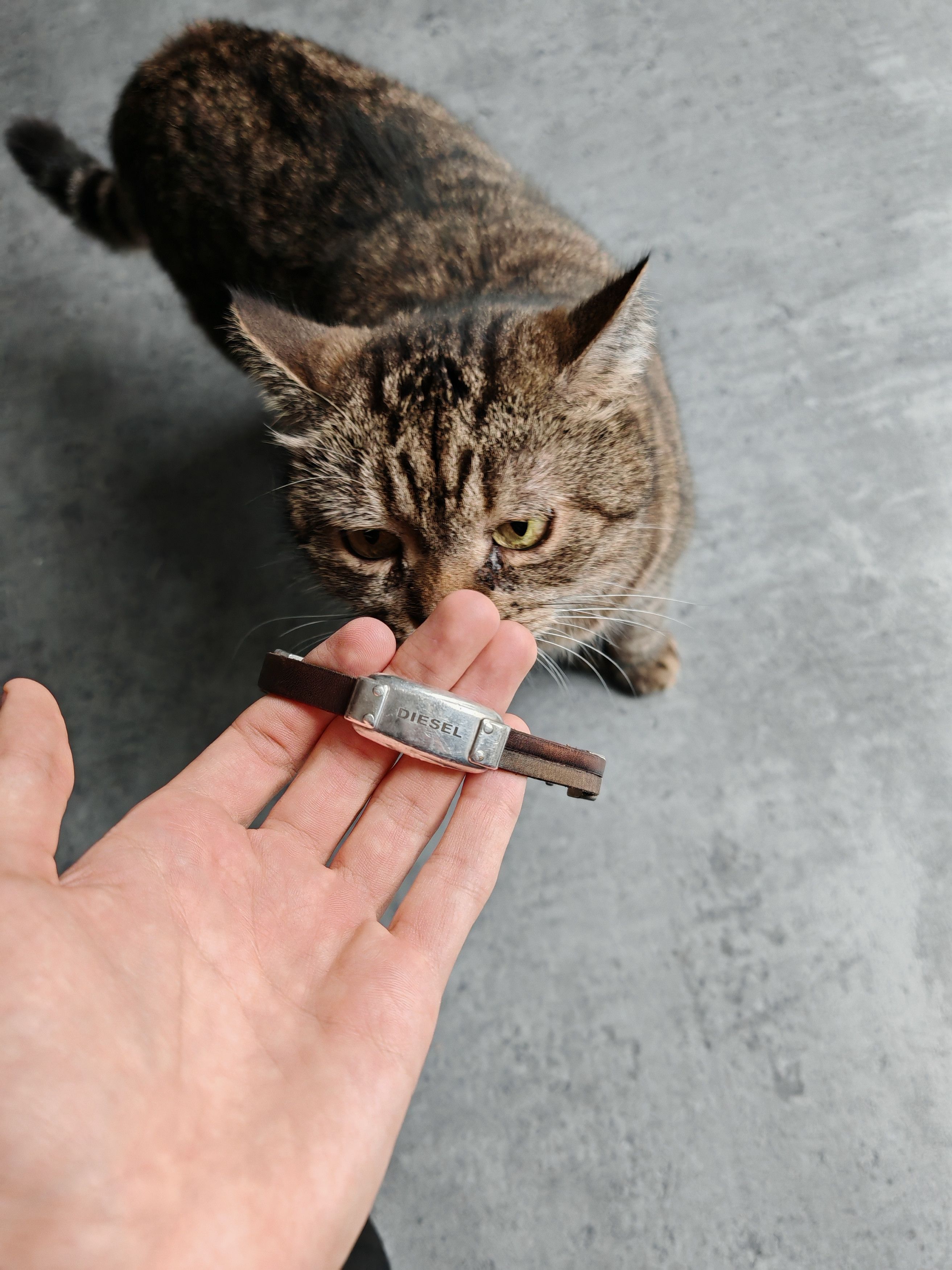 🕯️Vintage Diesel Leather Steel Braclet Archive Gothic Y2K