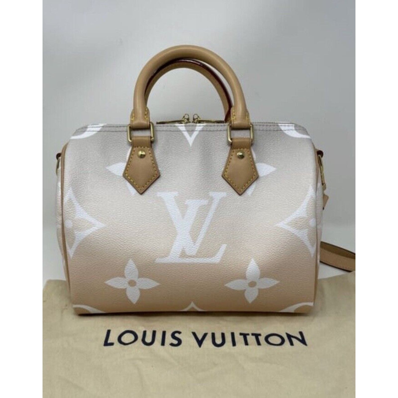 Louis Vuitton Louis Vuitton Speedy 25 Bandouliere Summer By The Pool Mist Size ONE SIZE - 6 Thumbnail