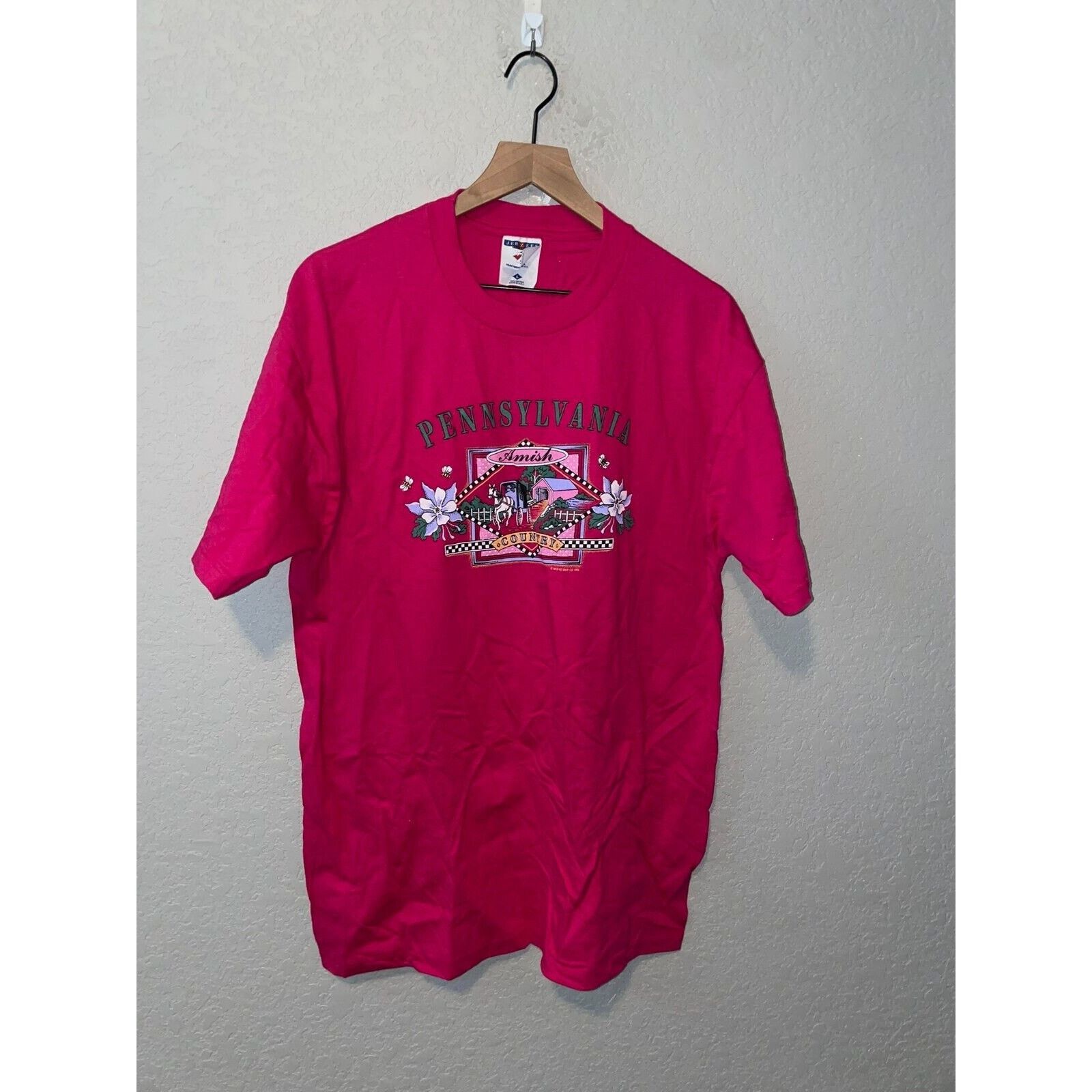 Jerzees Vintage Amish Shirt Pennsylvania Country Tee Pink VTG 90s L Size US L / EU 52-54 / 3 - 1 Thumbnail