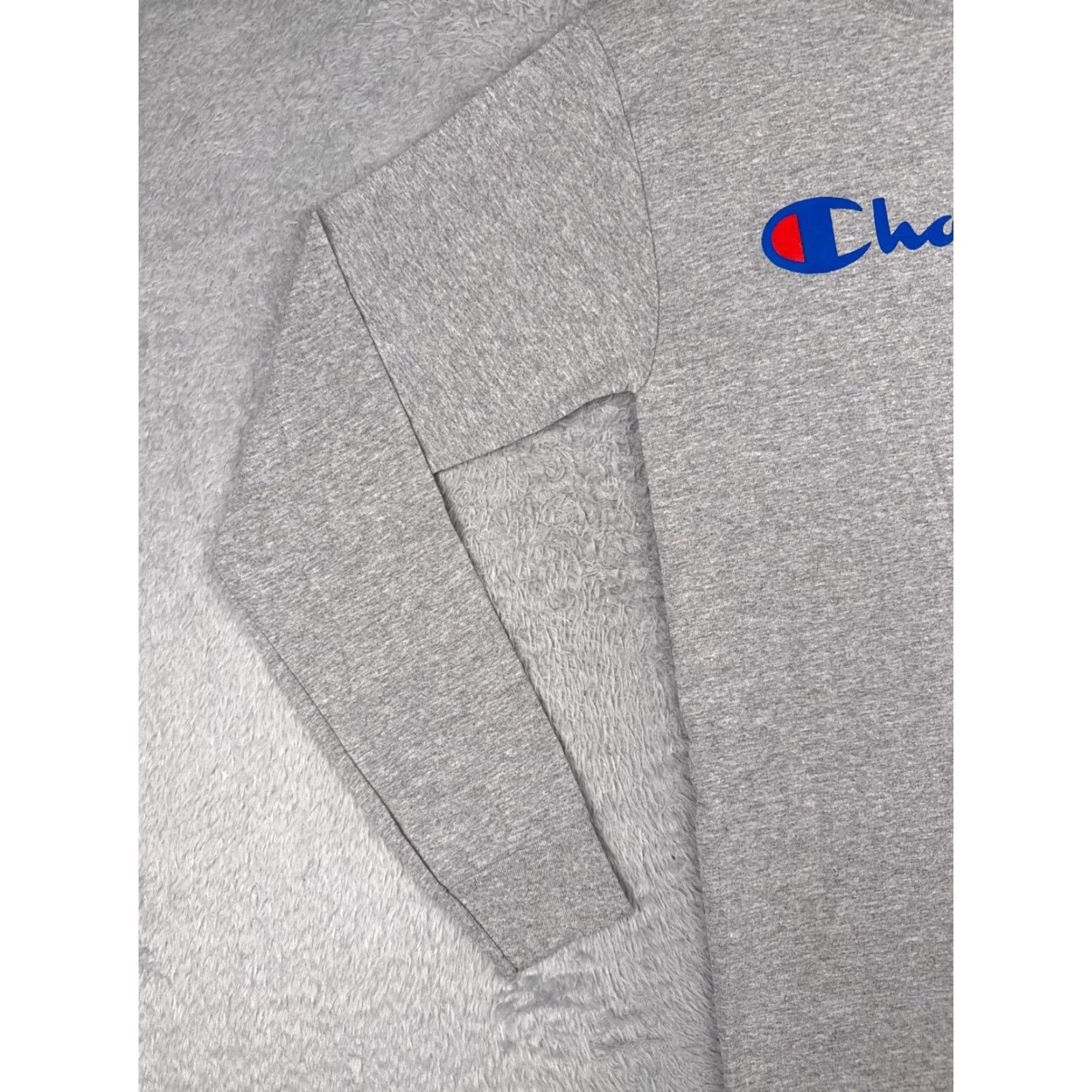 Champion Champion Shirt Men Adult Small Gray Long Sleeve Crew Neck Cotton Blend NEW NO TAGS Size US S / EU 44-46 / 1 - 3 Thumbnail
