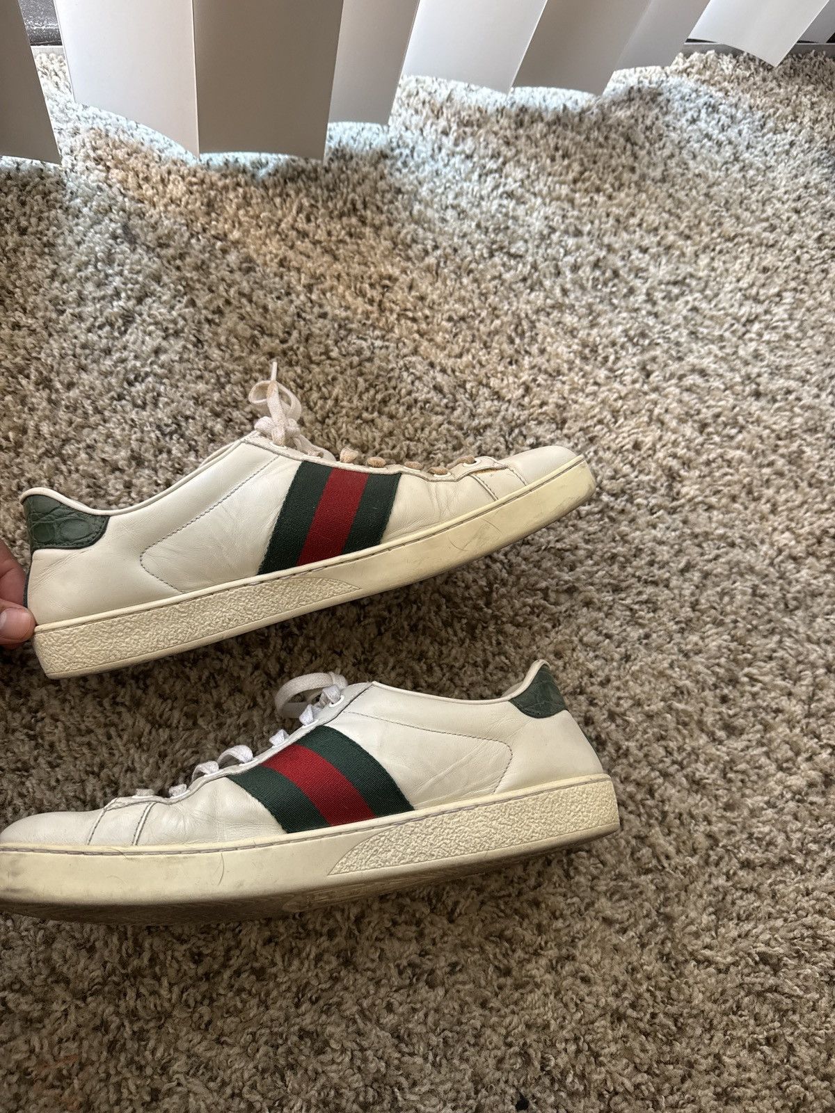 Gucci low top sneakers