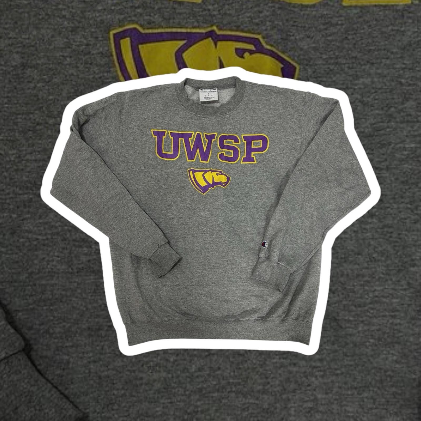 Champion Champion UWSP Grey Sweatshirt Large Size US L / EU 52-54 / 3 - 1 Thumbnail