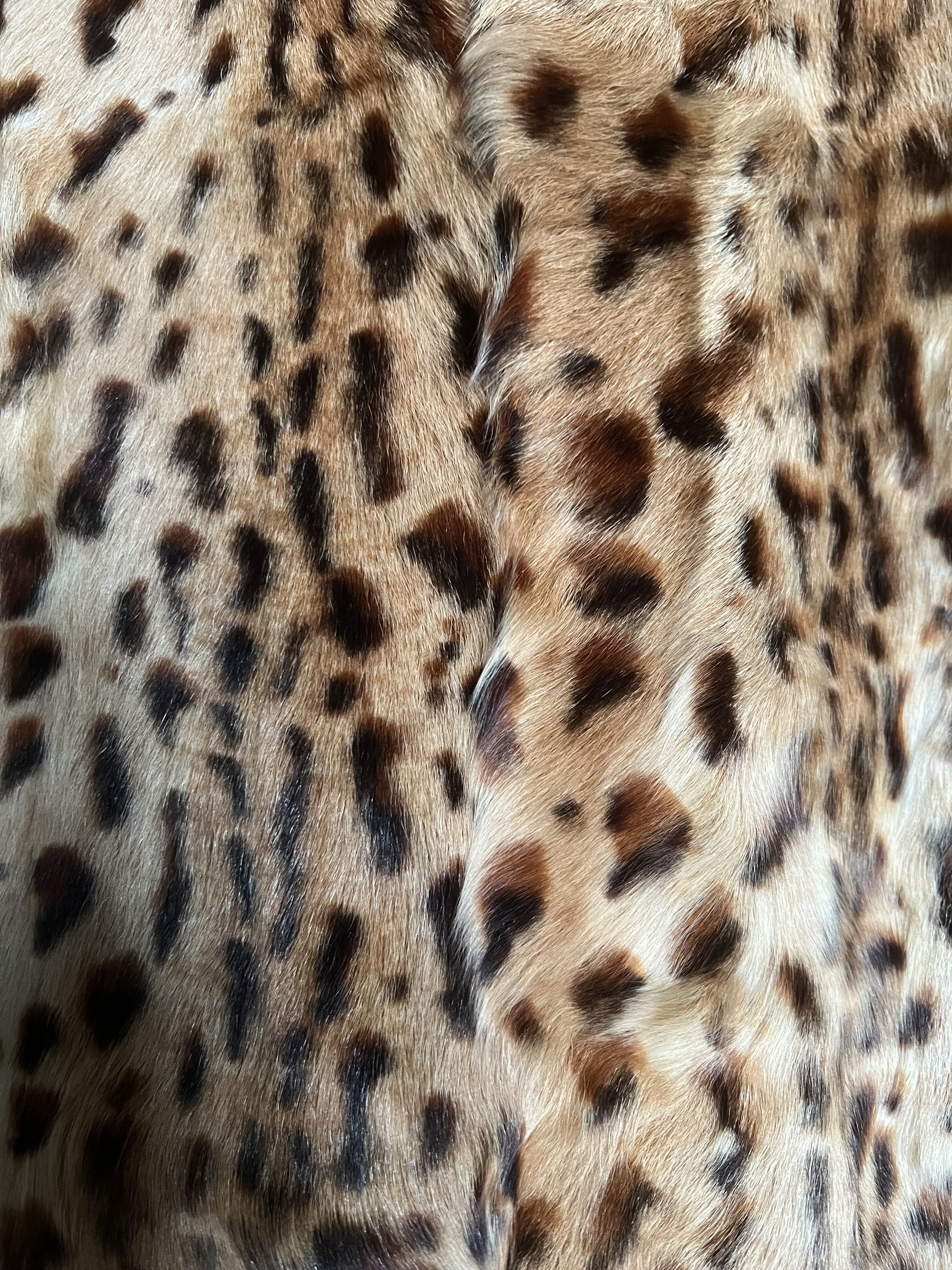 Dries Van Noten GRAIL Leopard-print Fur Coat F/W 2007 Sz M Size US M / EU 48-50 / 2 - 5 Thumbnail