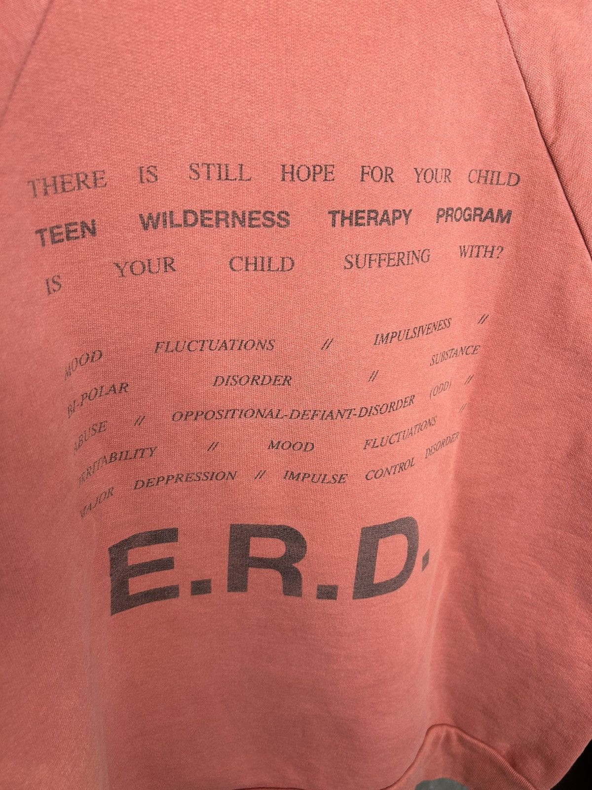 Enfants Riches Deprimes ERD Teen Wilderness Therapy Hoodie Size US M / EU 48-50 / 2 - 4 Thumbnail