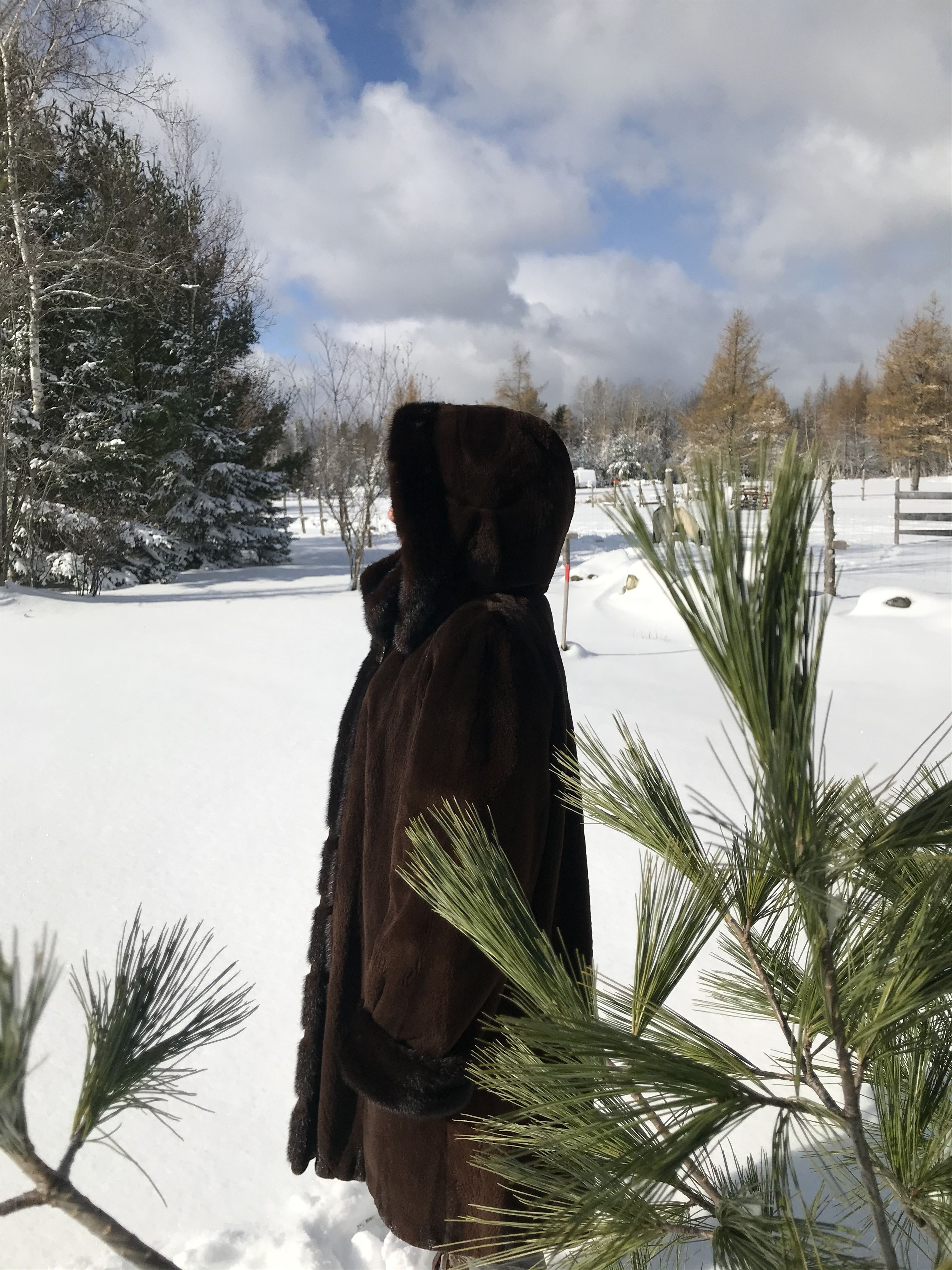 Other MINK FUR COAT WITH HEAD COVER Size L / US 10 / IT 46 - 3 Thumbnail