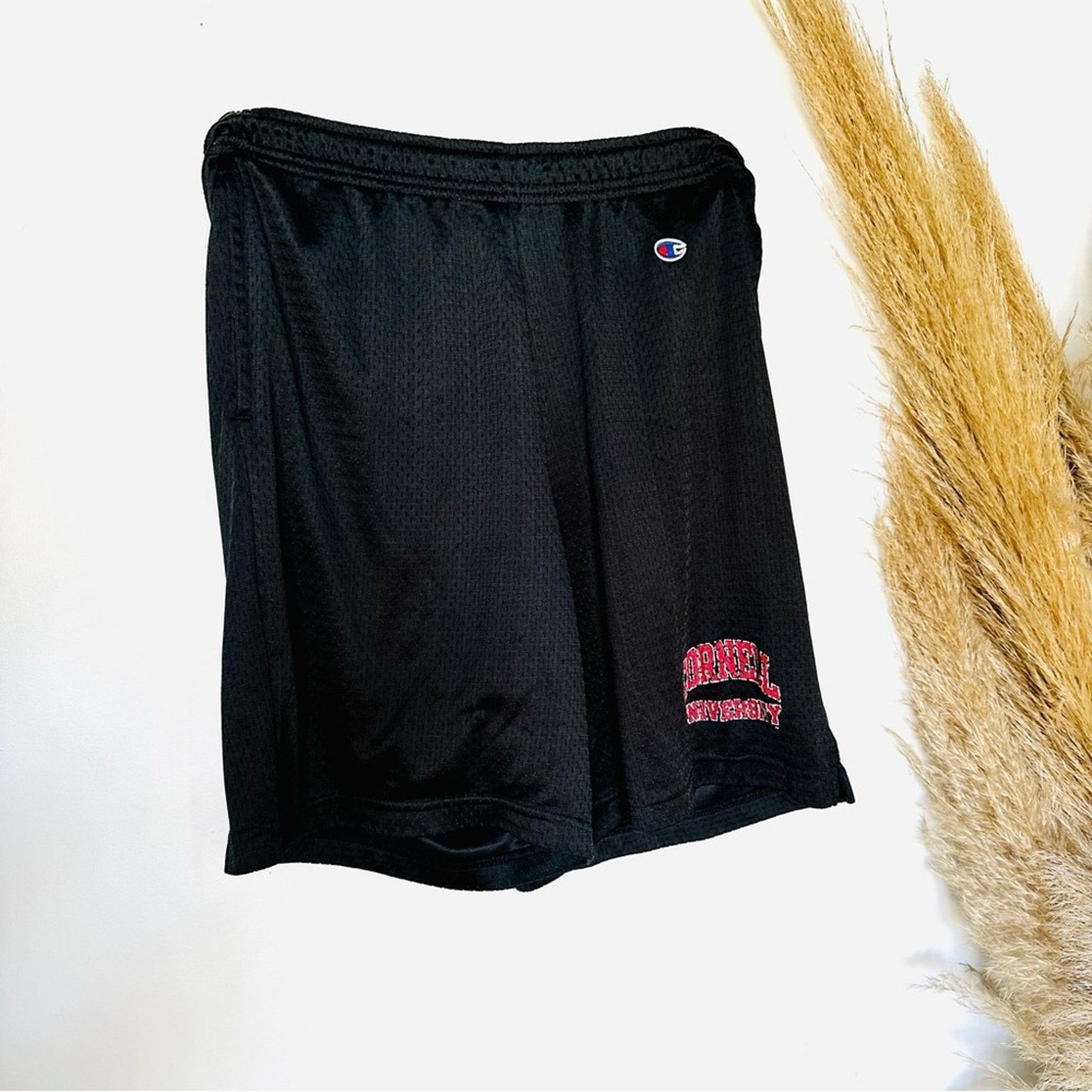 Champion CHAMPION Black Red Basketball Mesh Cornell Workout Gym Short Size US 32 / EU 48 - 9 Thumbnail