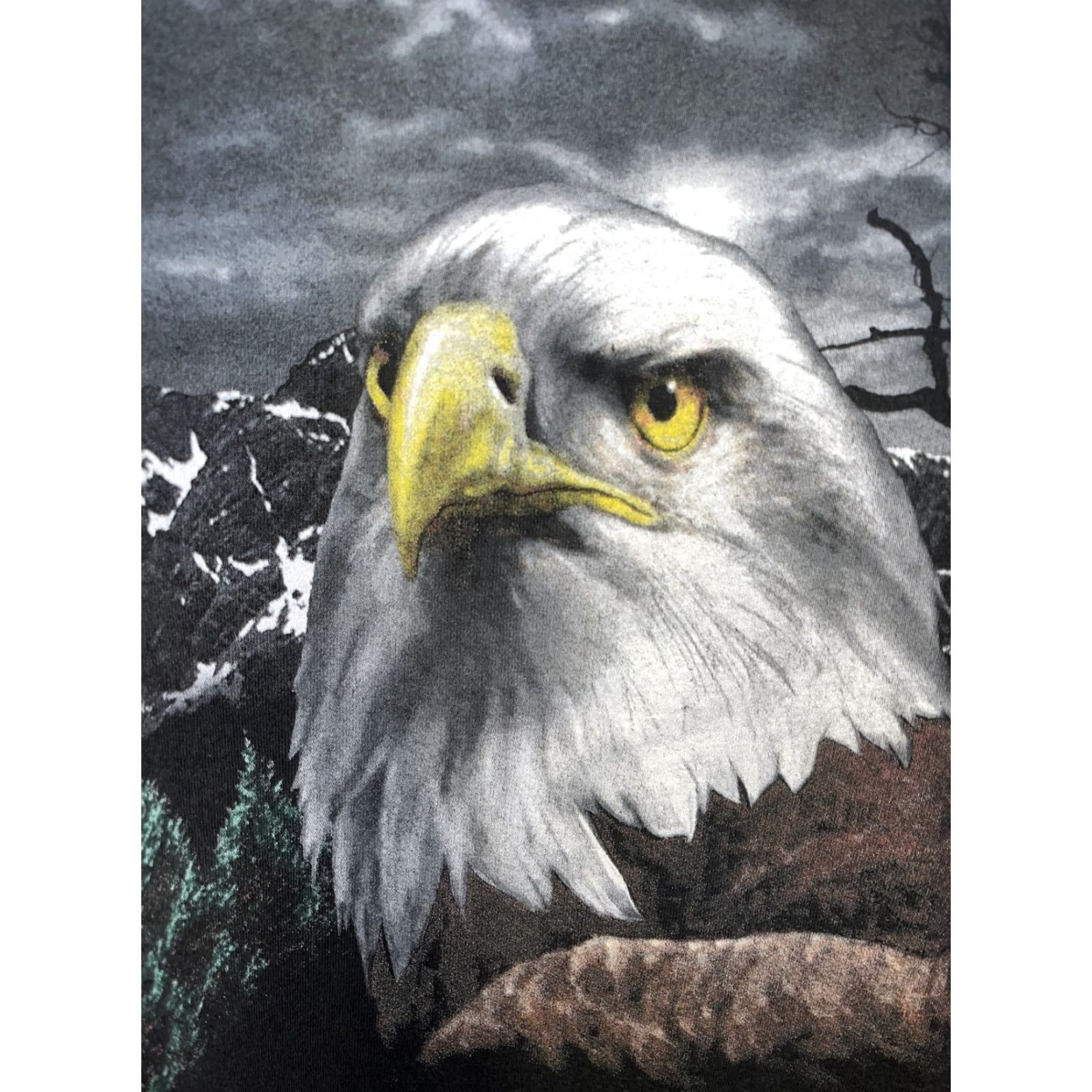 Vintage VINTAGE Bald Eagle T-Shirt Men XL Black 90s Nature Eagle Graphic Cotton TNT by Trau & Loevner Size US XL / EU 56 / 4 - 2 Thumbnail