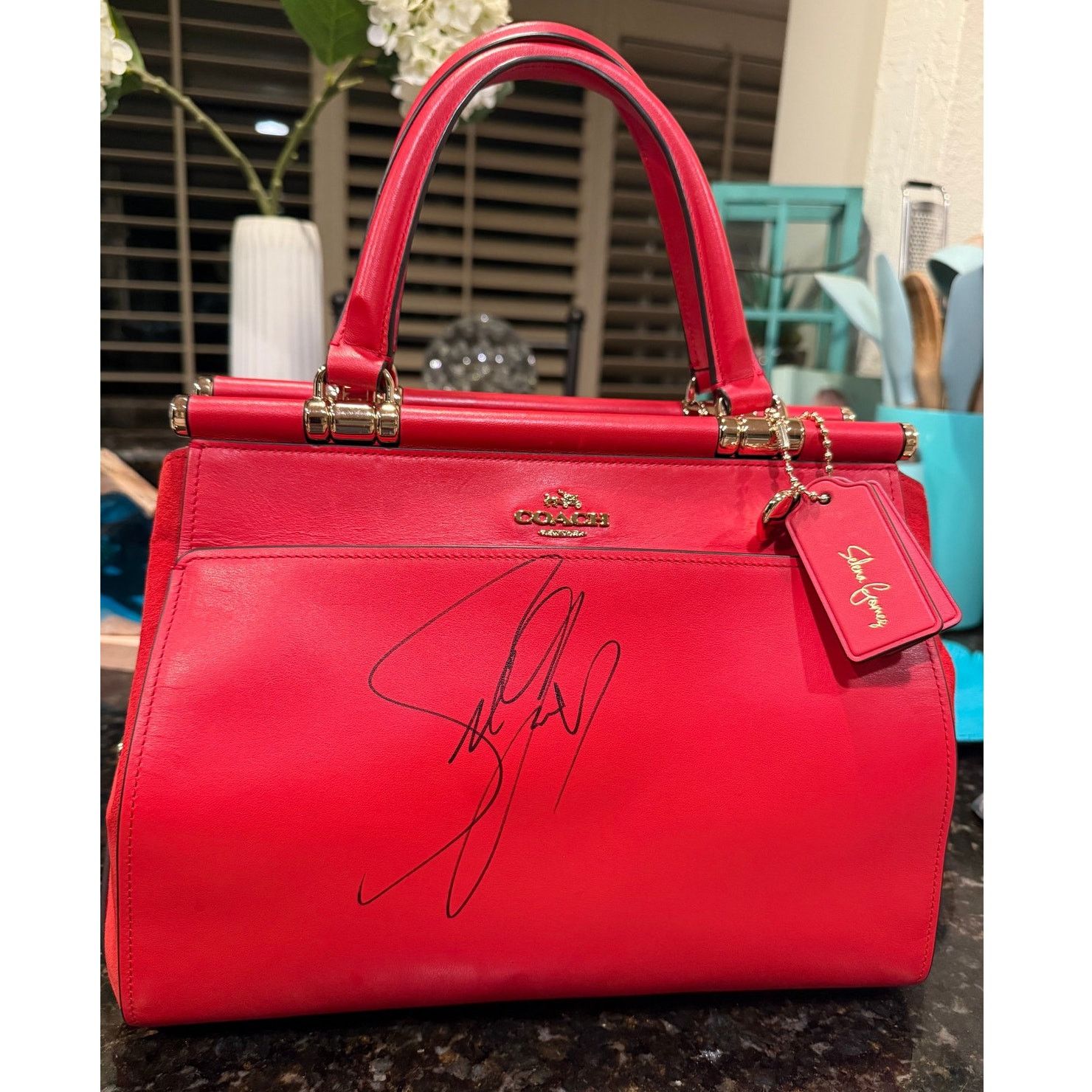 Coach Coach x Selena Gomez Limited Edition Red Leather Bag Size ONE SIZE - 2 Thumbnail