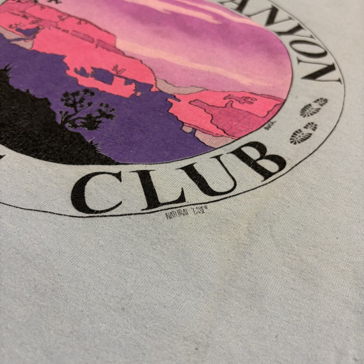 Vintage Vintage Grand Canyon Hiking Club 80s Graphic T shirt Stedman Size US L / EU 52-54 / 3 - 8 Thumbnail