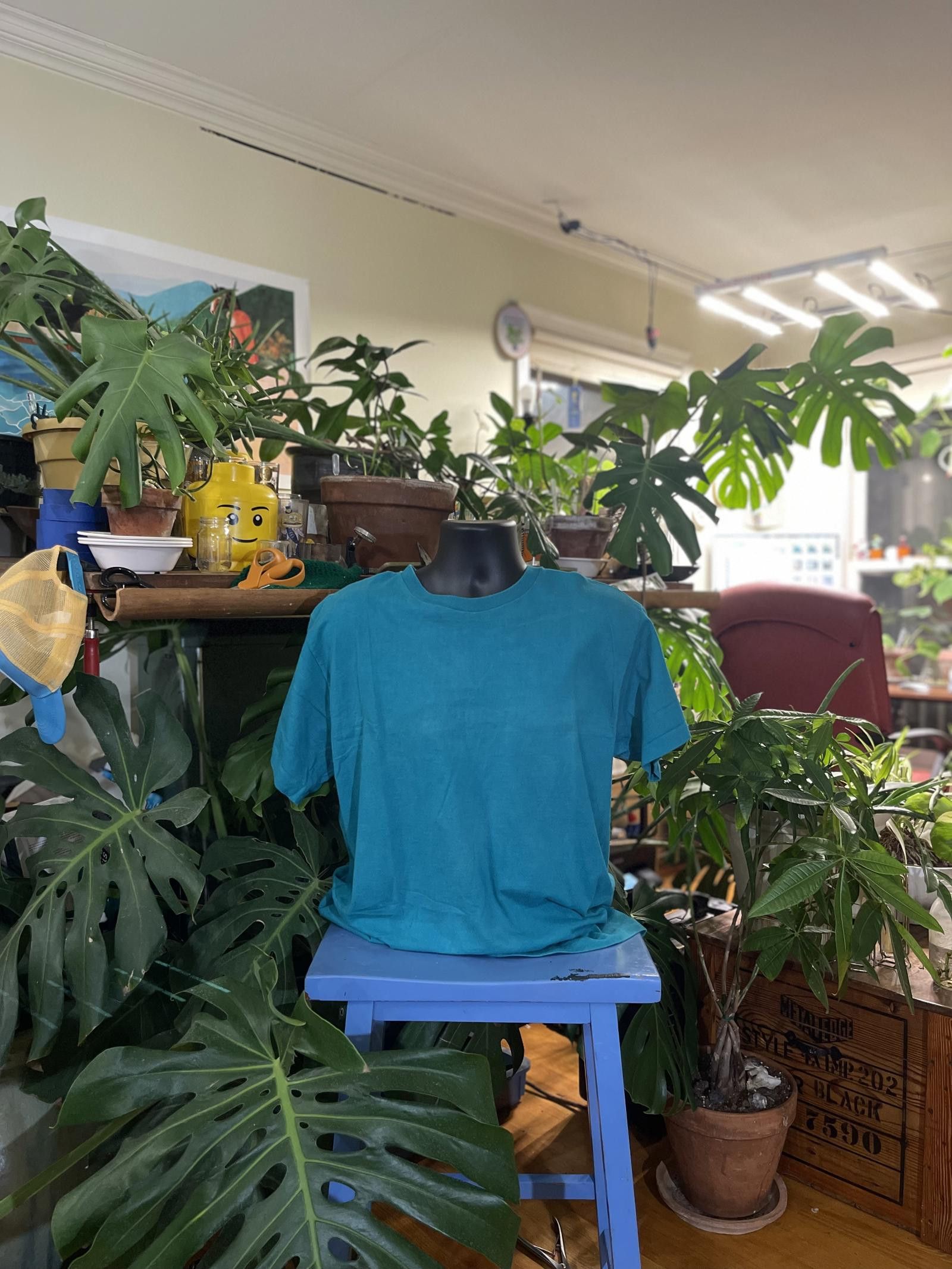 Fruit Of The Loom Fruit of the Loom Ladies' Casual T-Shirt in Teal - Size L Size US L / EU 52-54 / 3 - 1 Thumbnail