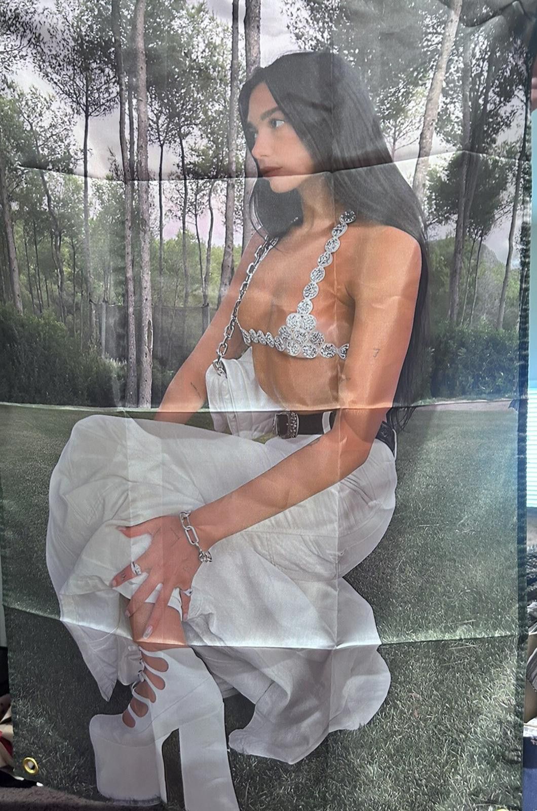 The Unbranded Brand DUA LIPA Two Chrome Dorm Tapestry Decoration Flag 2' X 3' ft Size ONE SIZE - 3 Thumbnail
