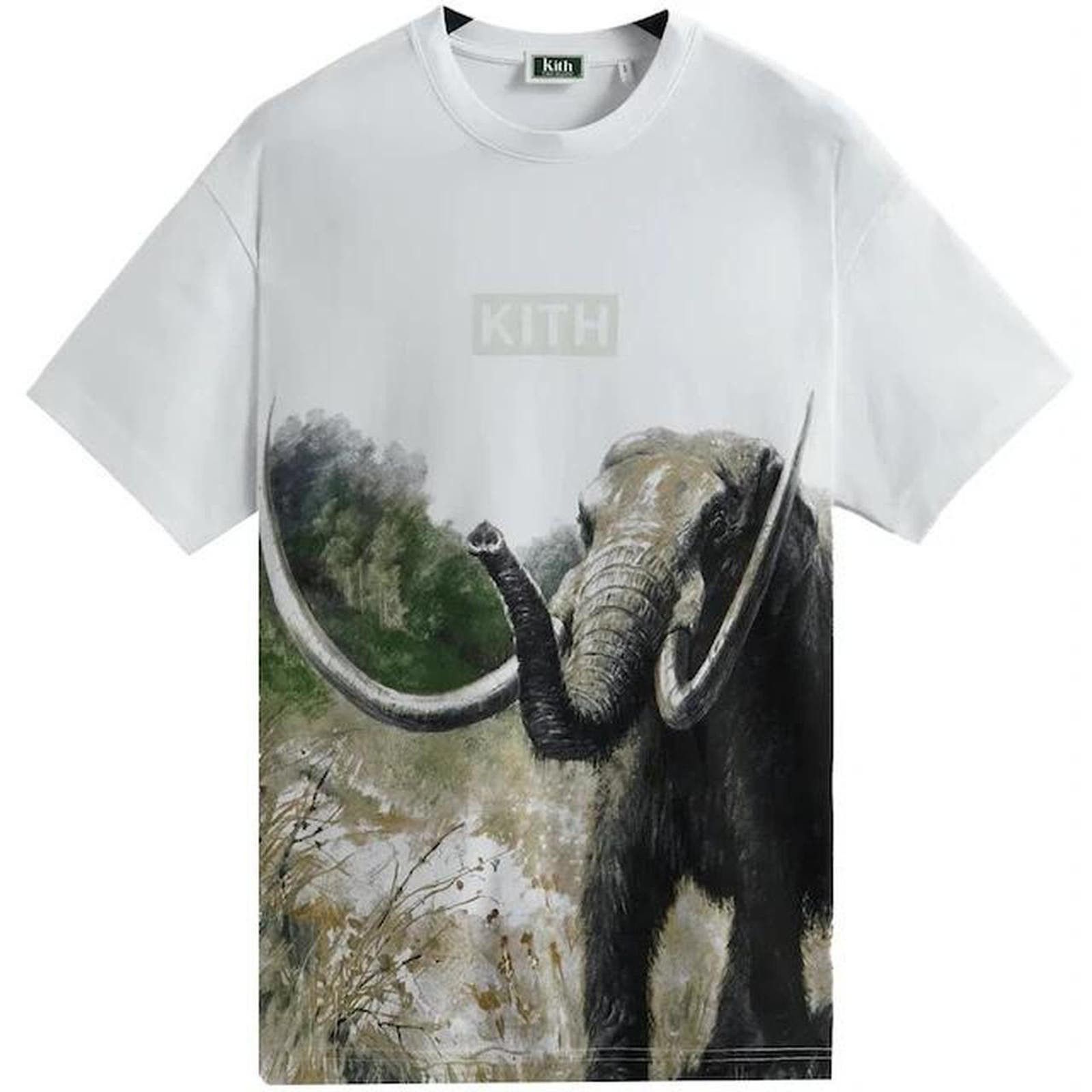 image of Kith X Amnh Late Mammals Vintage T Shirt in White, Men's (Size 2XL)