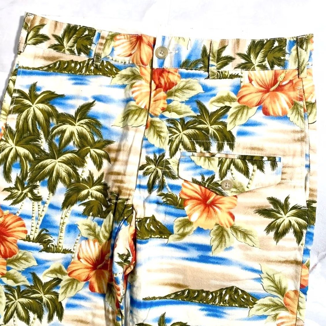 Engineered Garments Engineered Garments Hawaiian Pants Size 32 Multicolor Casual Pre-owned Size US 32 / EU 48 - 2 Thumbnail