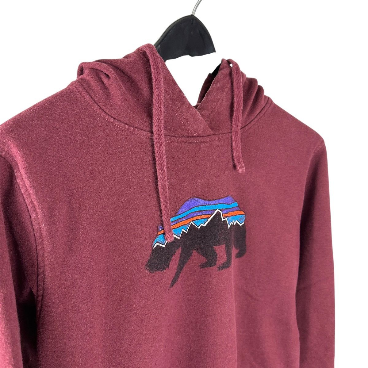 Patagonia Women’s Y2K Patagonia Bear Center Logo Hoodie Size XS / US 0-2 / IT 36-38 - 7 Thumbnail