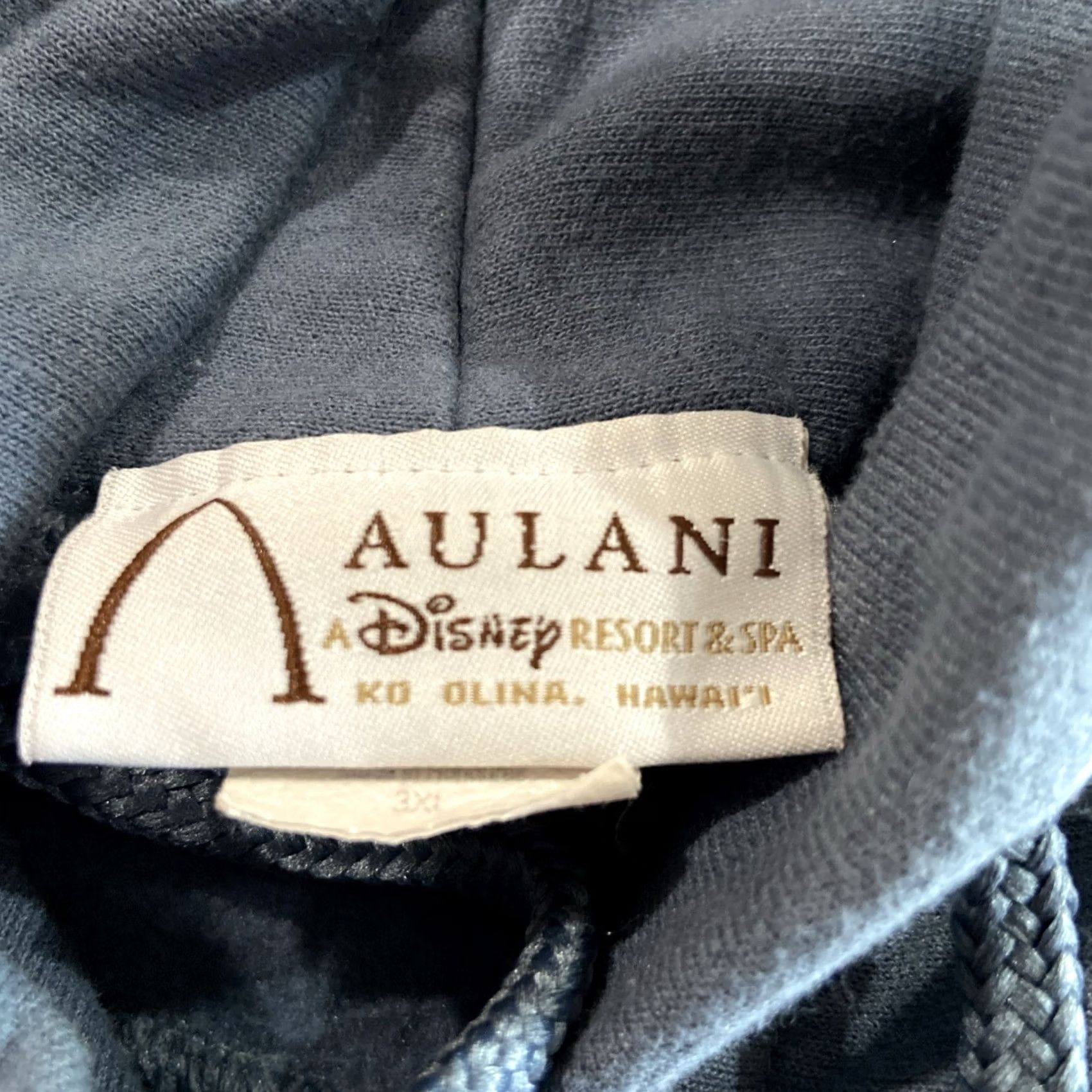 Disney Aulani Disney Resort Men Sweatshirt 3XL Blue Hoodie Kawa's Beach Hawaii Crew Neck Pockets Shirt Pullover Disney Size US XXL / EU 58 / 5 - 2 Thumbnail