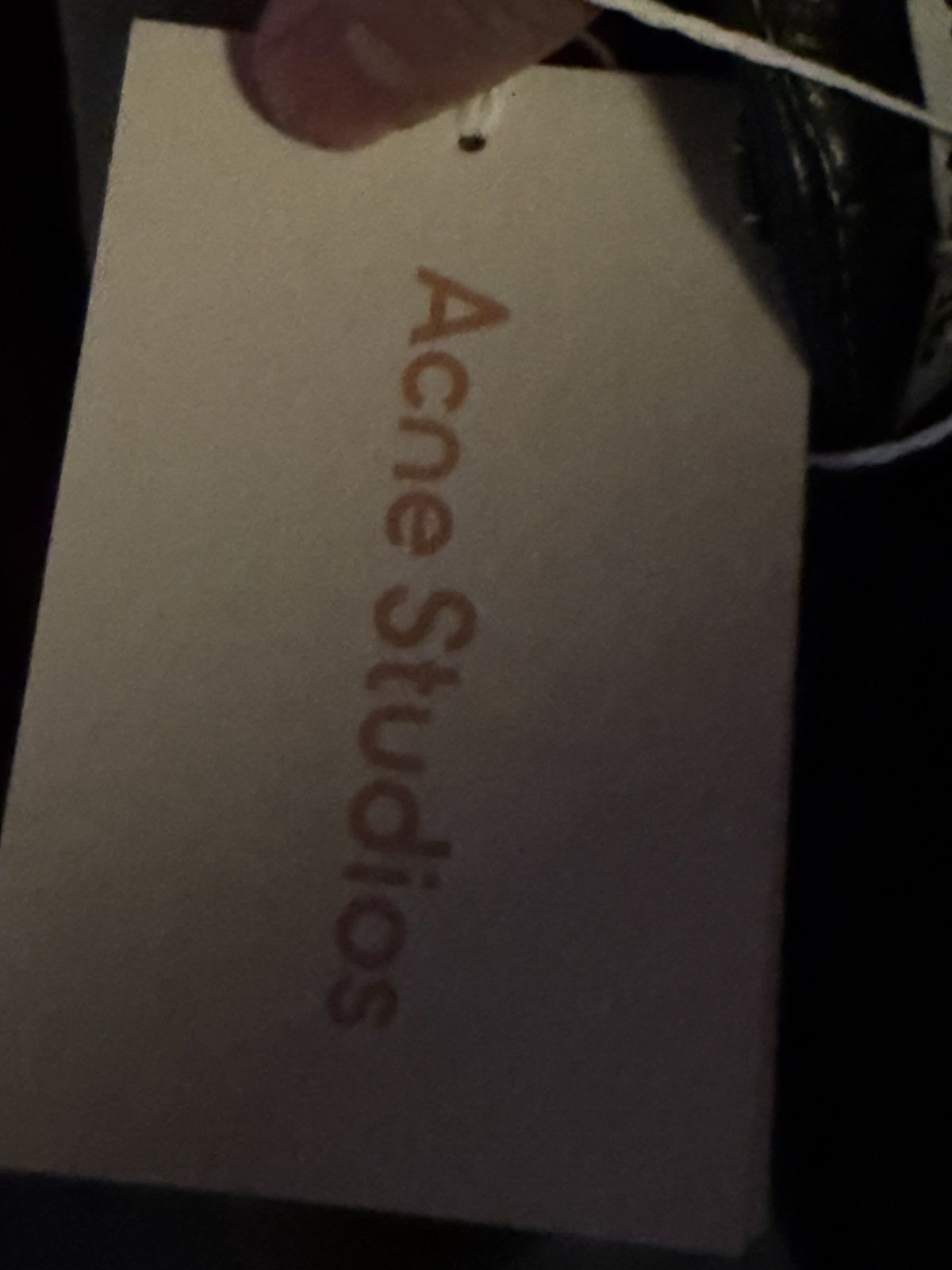 Acne Studios Acne Studios Lorgata Embroidered Leather Trousers Size US 32 / EU 48 - 13 Thumbnail