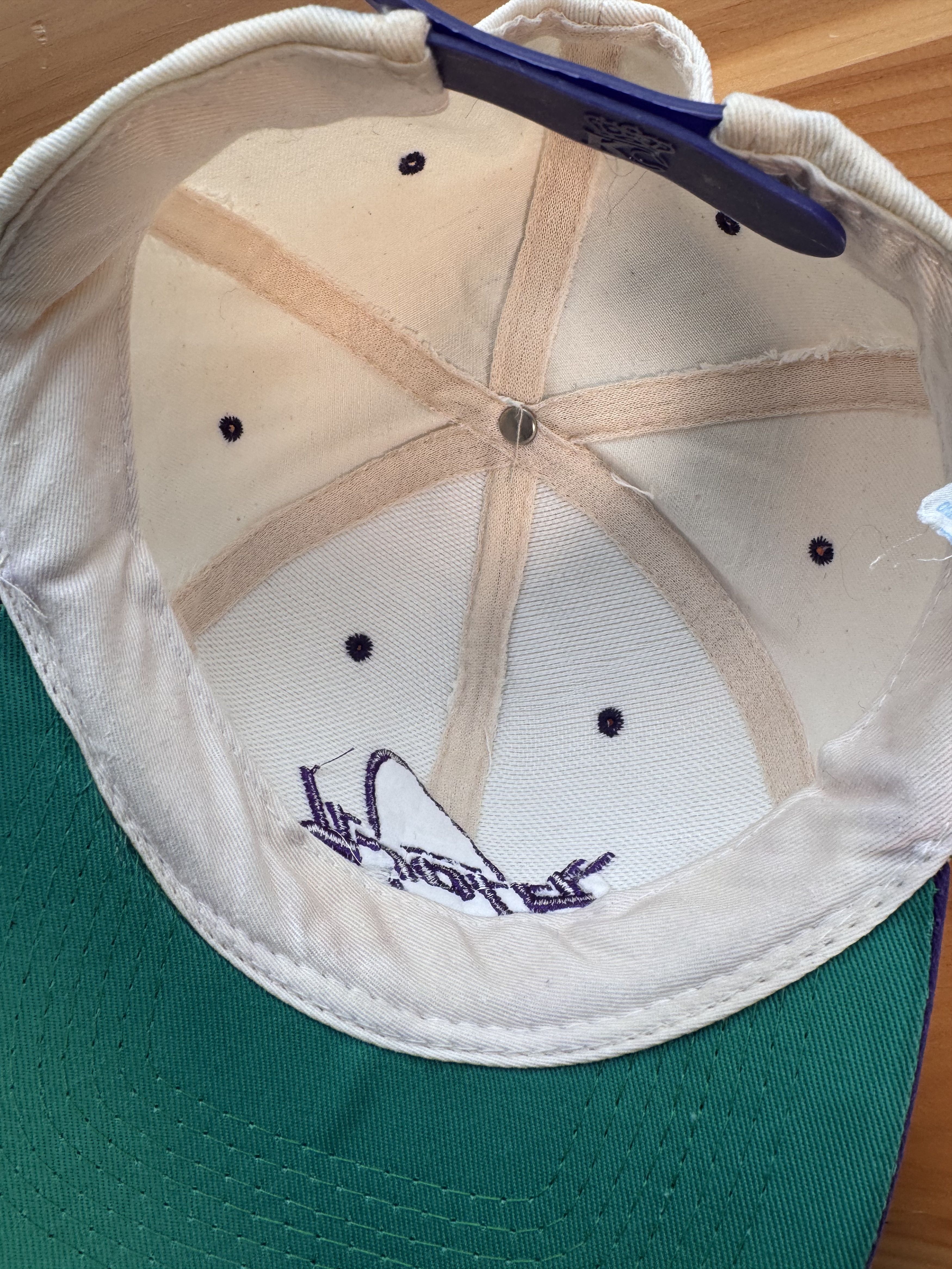 Vintage 1995 Vintage Bjork Snap Back Hat Size ONE SIZE - 11 Thumbnail
