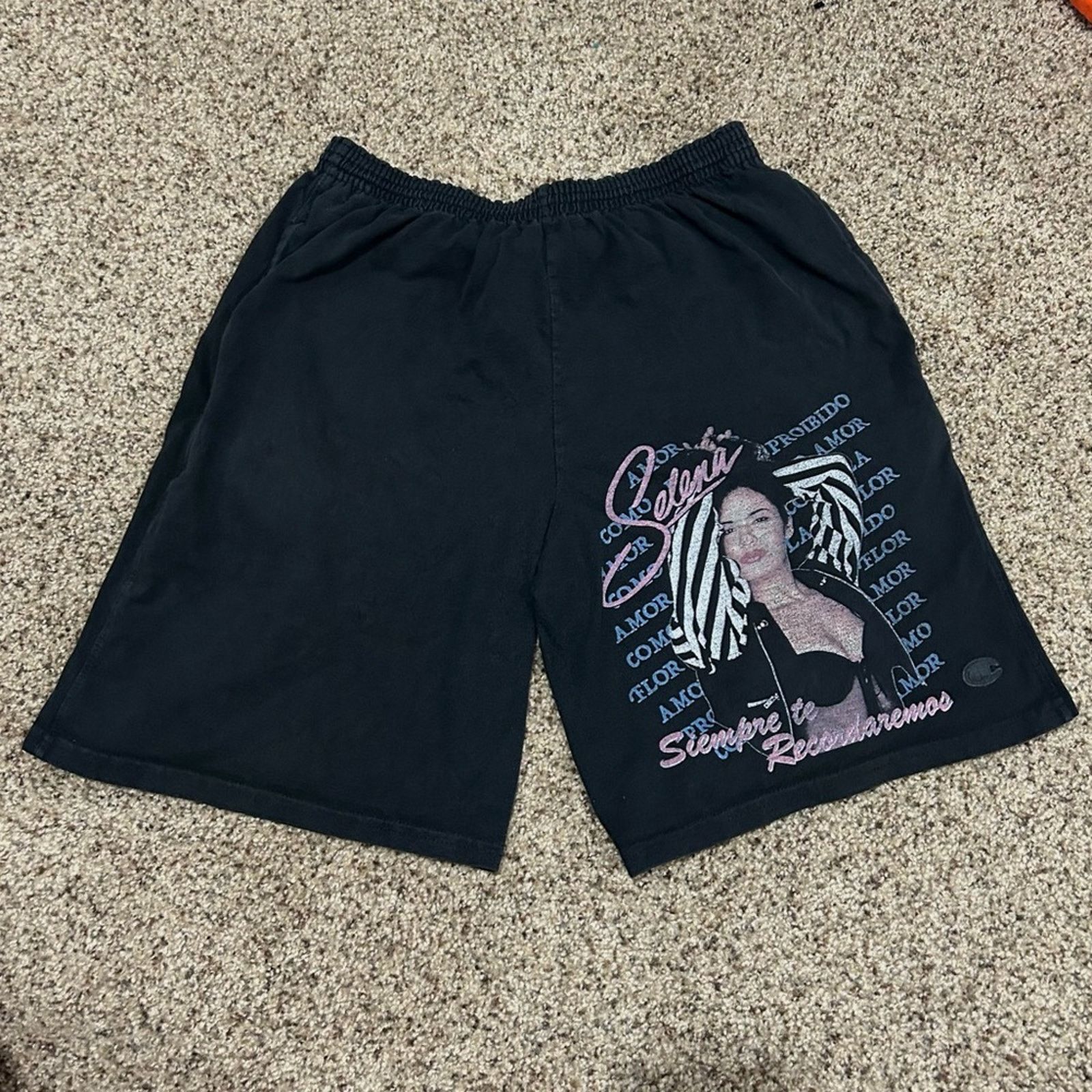 Champion Champion Selena Singer Shorts Size US 28 / EU 44 - 1 Thumbnail