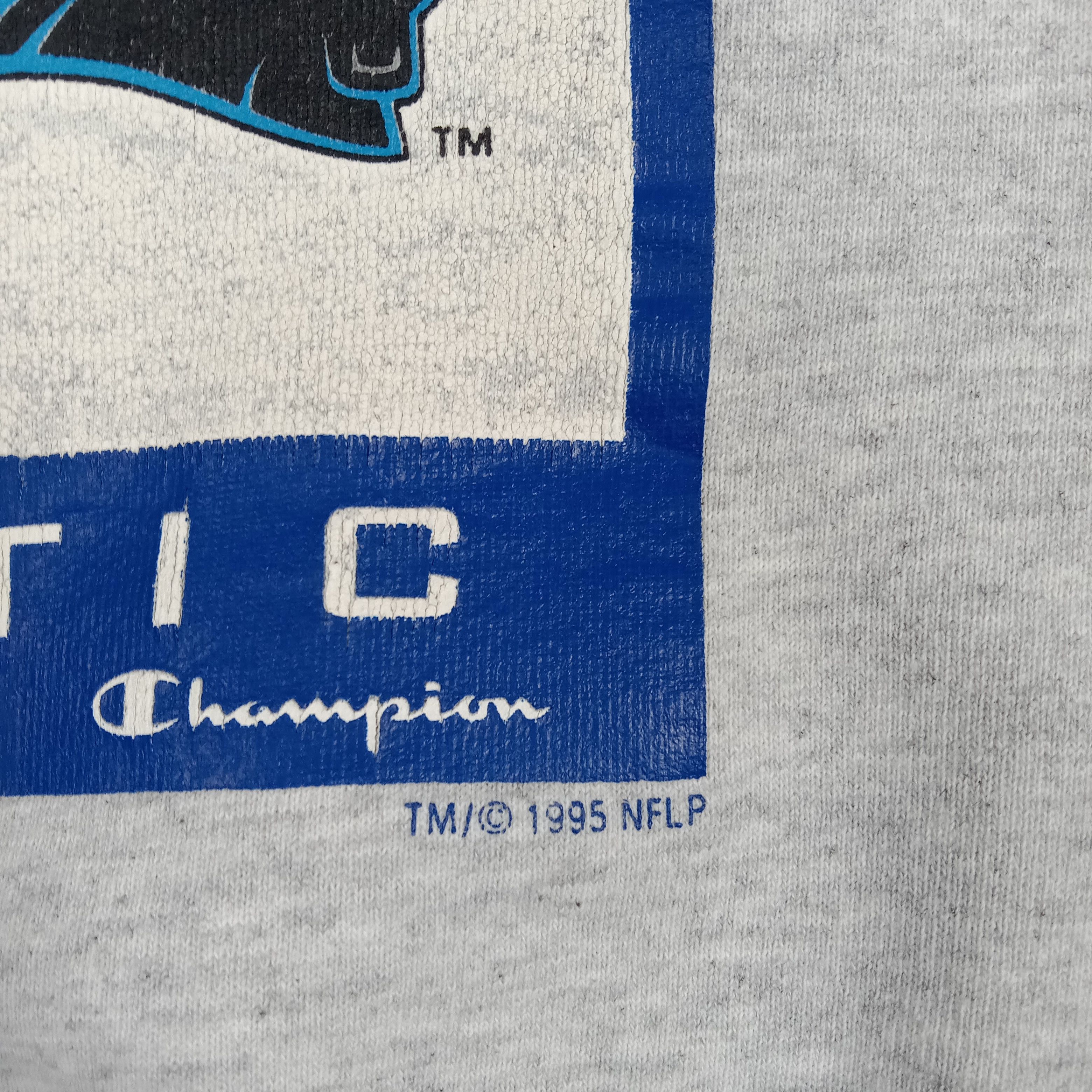 Champion Pro Line Carolina Panthers Football Team Sweatshirt C275N16 Size US XL / EU 56 / 4 - 4 Thumbnail