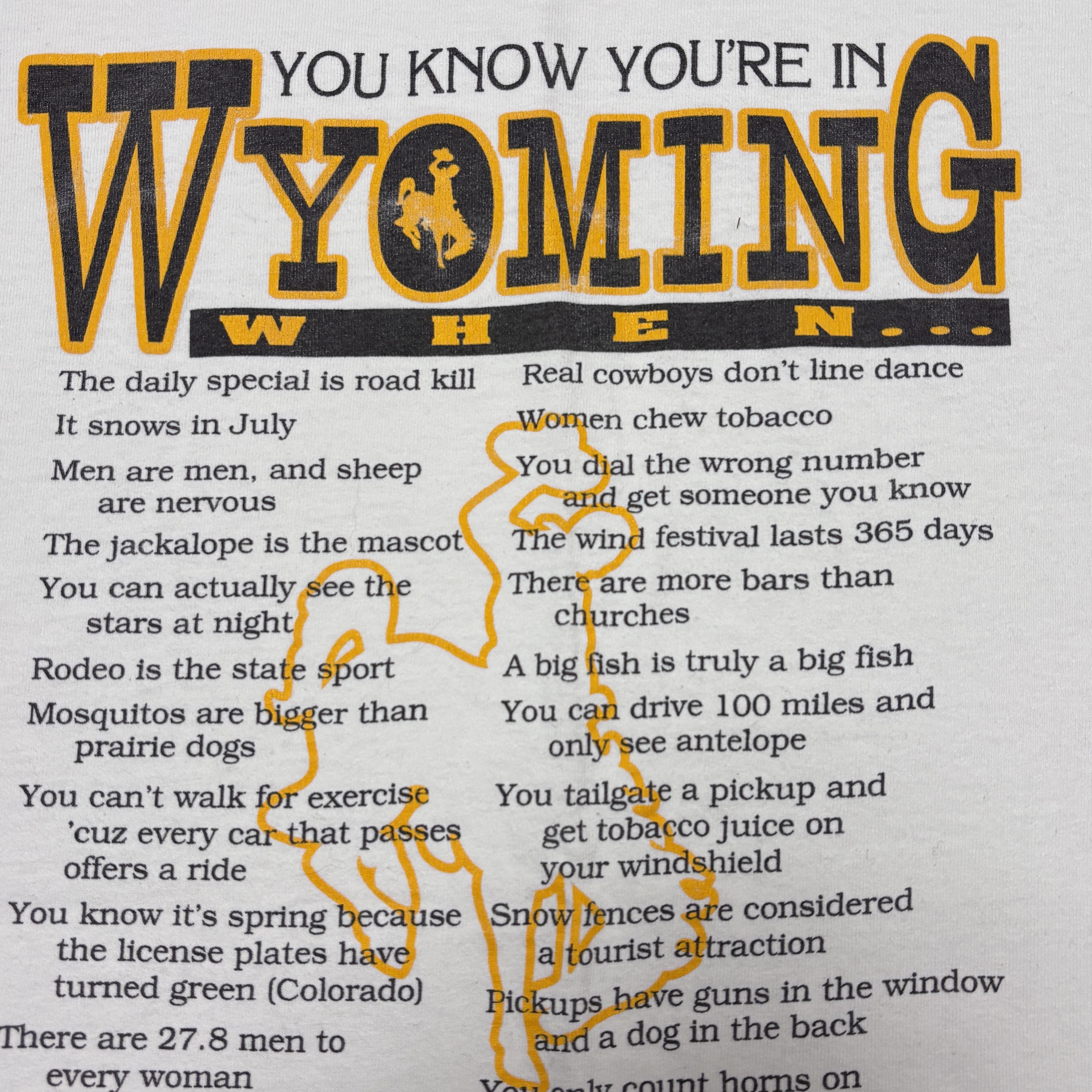 Vintage Vintage Humor Shirt Y2K Wyoming USA Quote Graphic Tee Size US XL / EU 56 / 4 - 4 Thumbnail