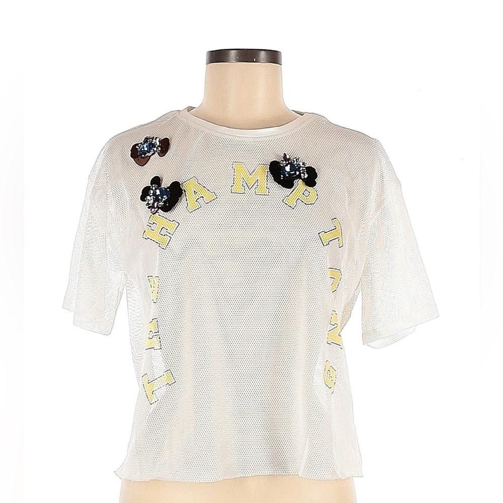 Zara Zara Charming Mesh Crop Top with Embellishments Size S / US 4 / IT 40 - 1 Thumbnail