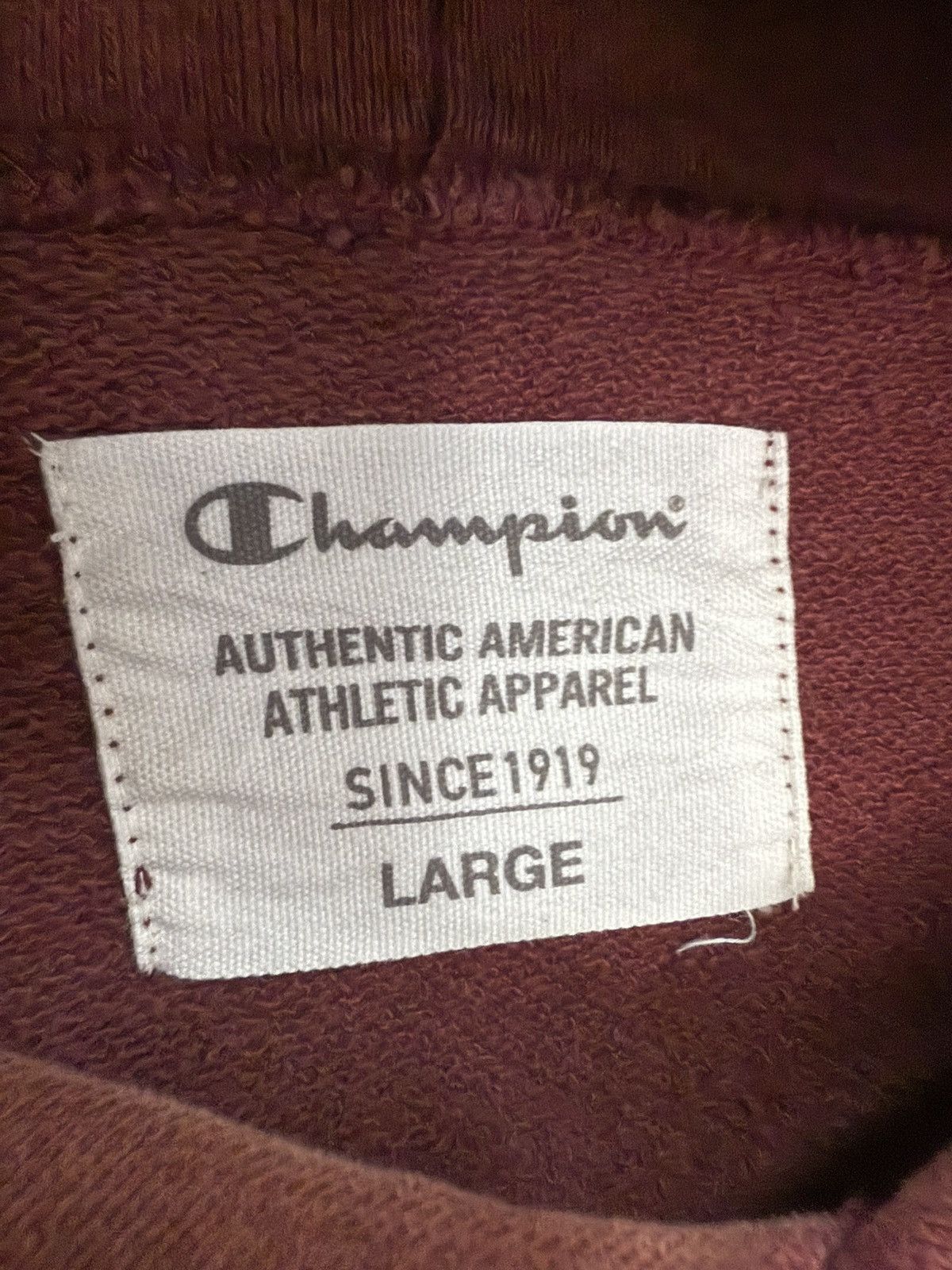 Champion 🔥 Champion Faded South Bend Streetwear Sweat Hoodie - L Size L / US 10 / IT 46 - 7 Thumbnail