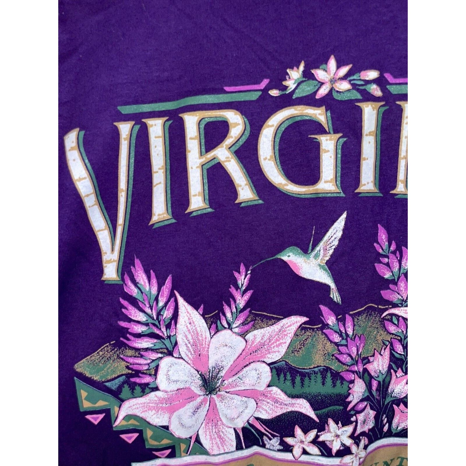 Jerzees Vintage Test Print Shirt Virginia Santa Fe Tee VTG 90s M Size US M / EU 48-50 / 2 - 3 Thumbnail