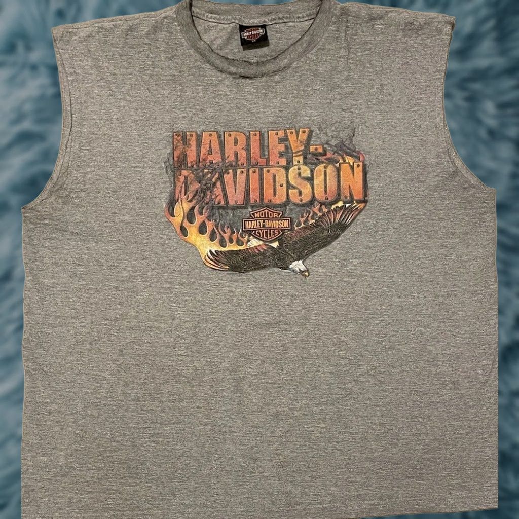 Vintage VINTAGE Harley Davidson Shirt 2XL Gray Sleeveless Distressed Eagle Flame Biker Grunge 90s Y2K Mens Size US XXL / EU 58 / 5 - 1 Thumbnail