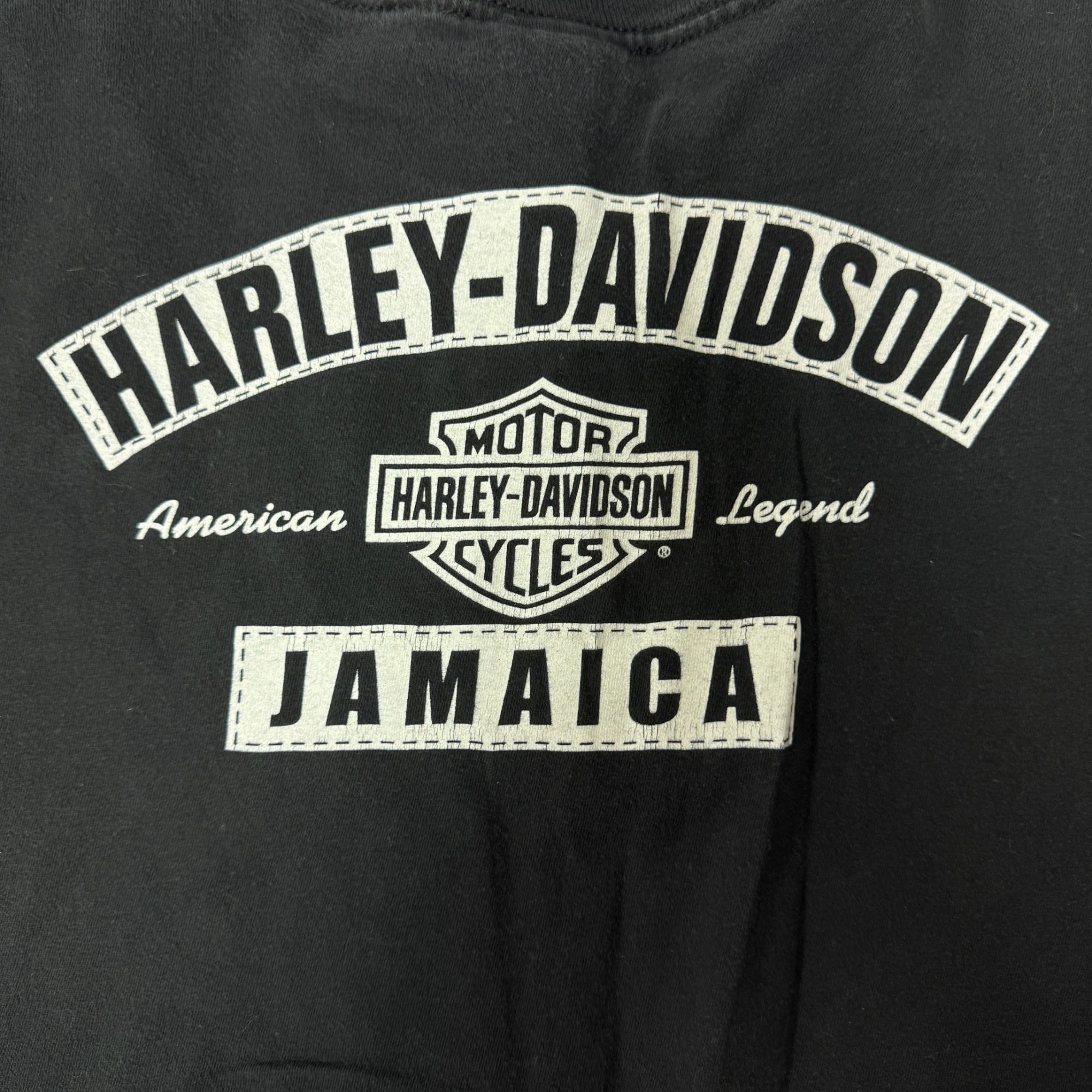 Harley Davidson H-D ELECTRIC BLUE Motorcycle SKULL w/Wings Jamaica Biker Tee Size US XXL / EU 58 / 5 - 4 Thumbnail