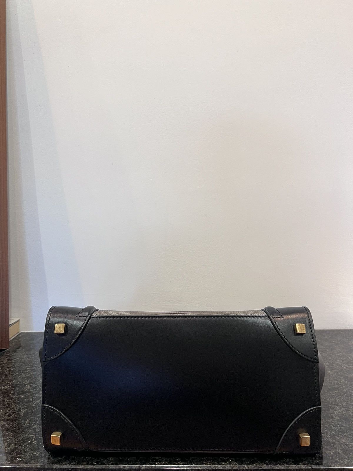 Celine Mini Luggage Leather and Lizard